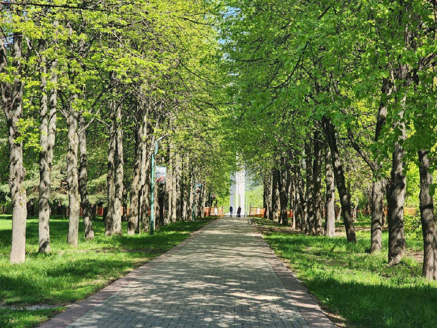 пущино, серпухов, благоустойство,