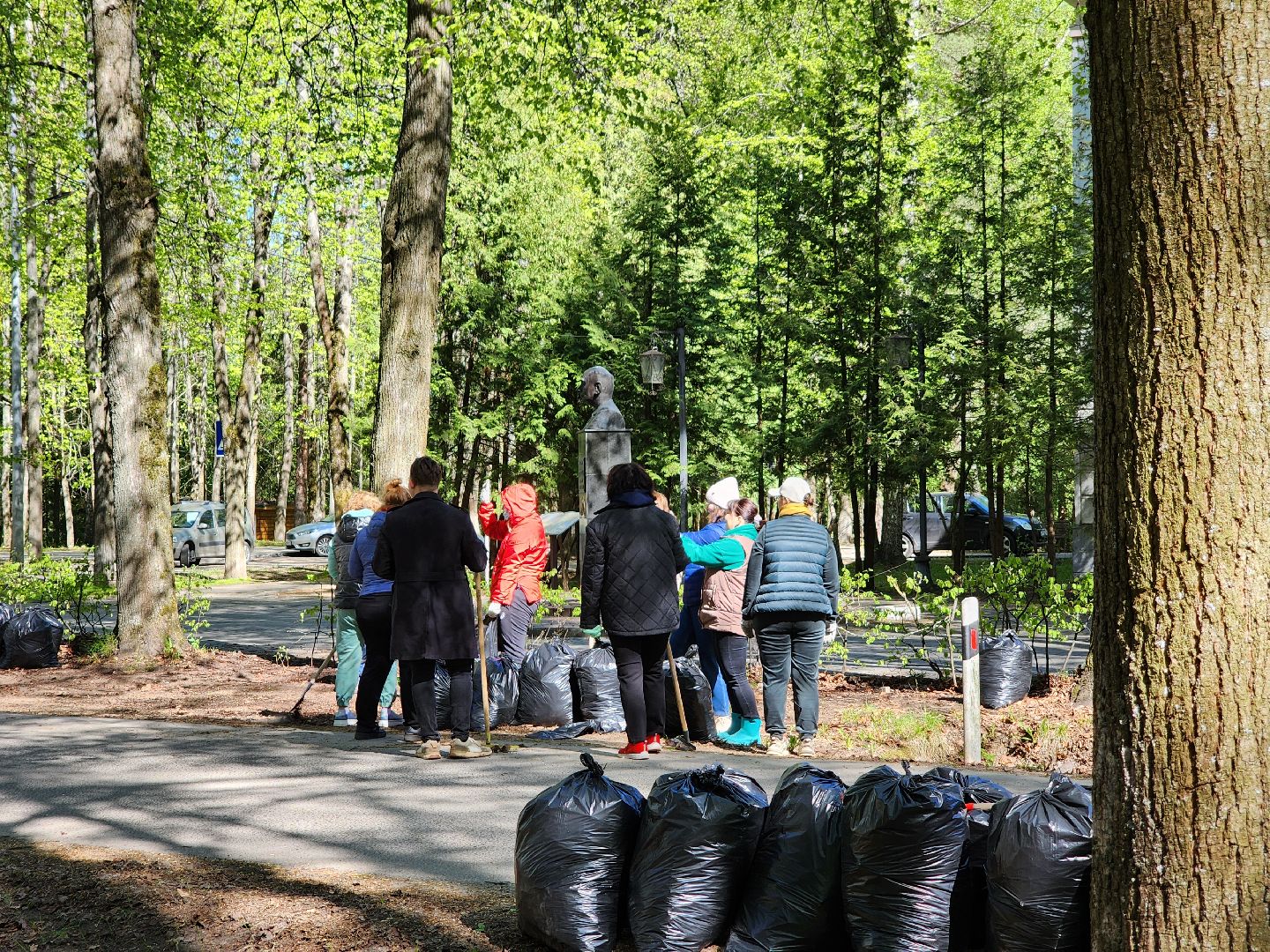 Дубна, Субботник, Уборка, Благоустройство,