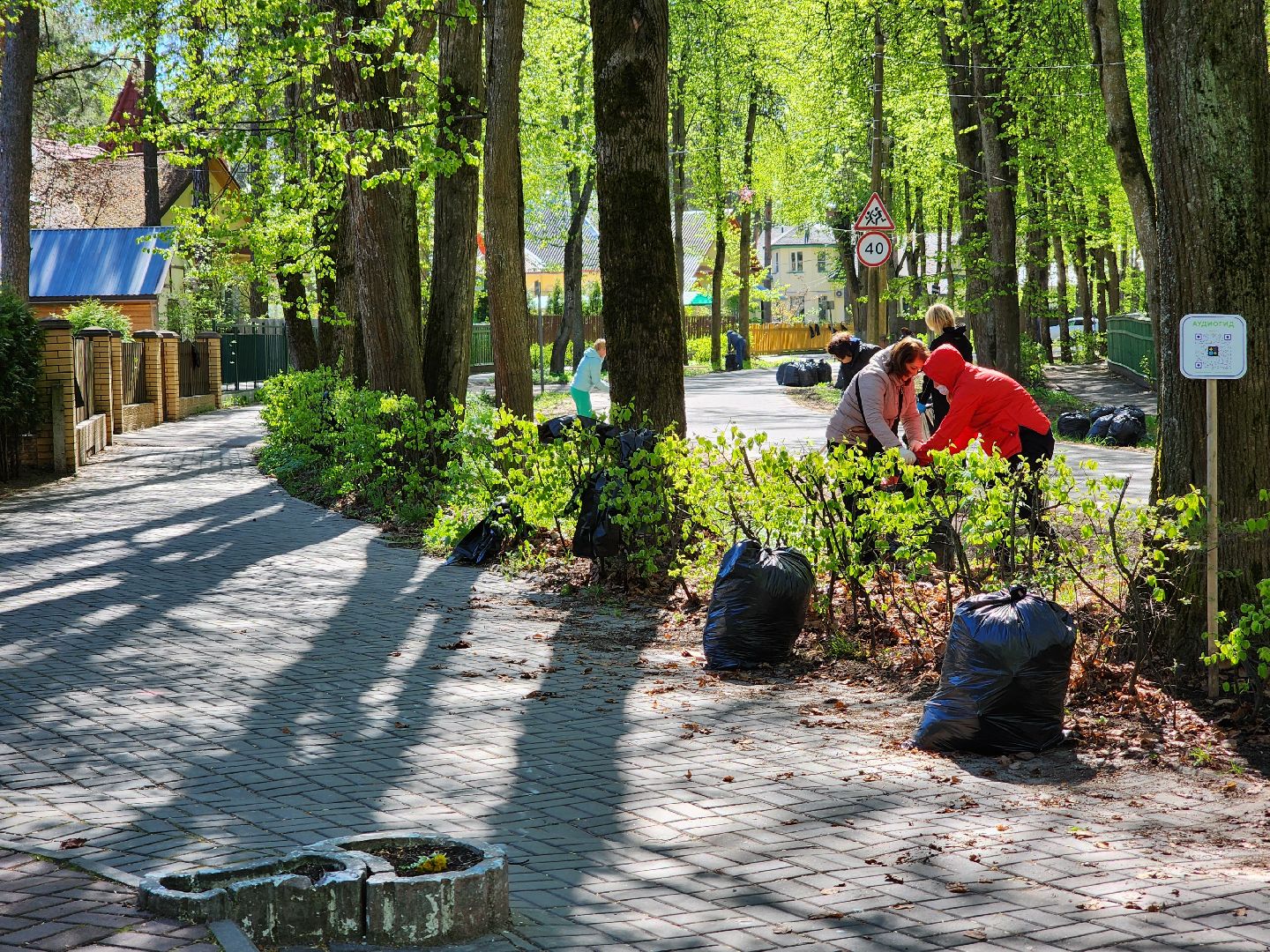 Дубна, Субботник, Уборка, Благоустройство,