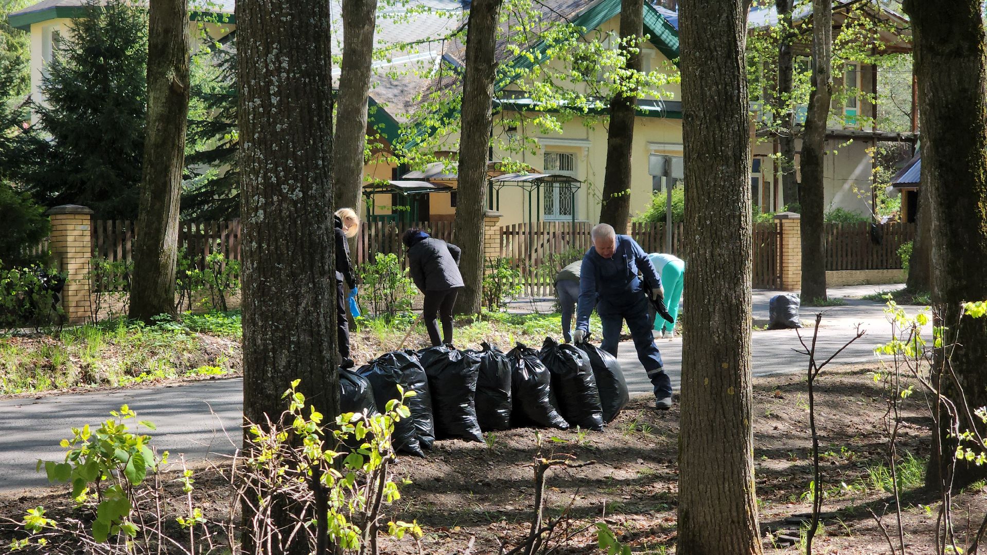 Дубна, Субботник, Уборка, Благоустройство,