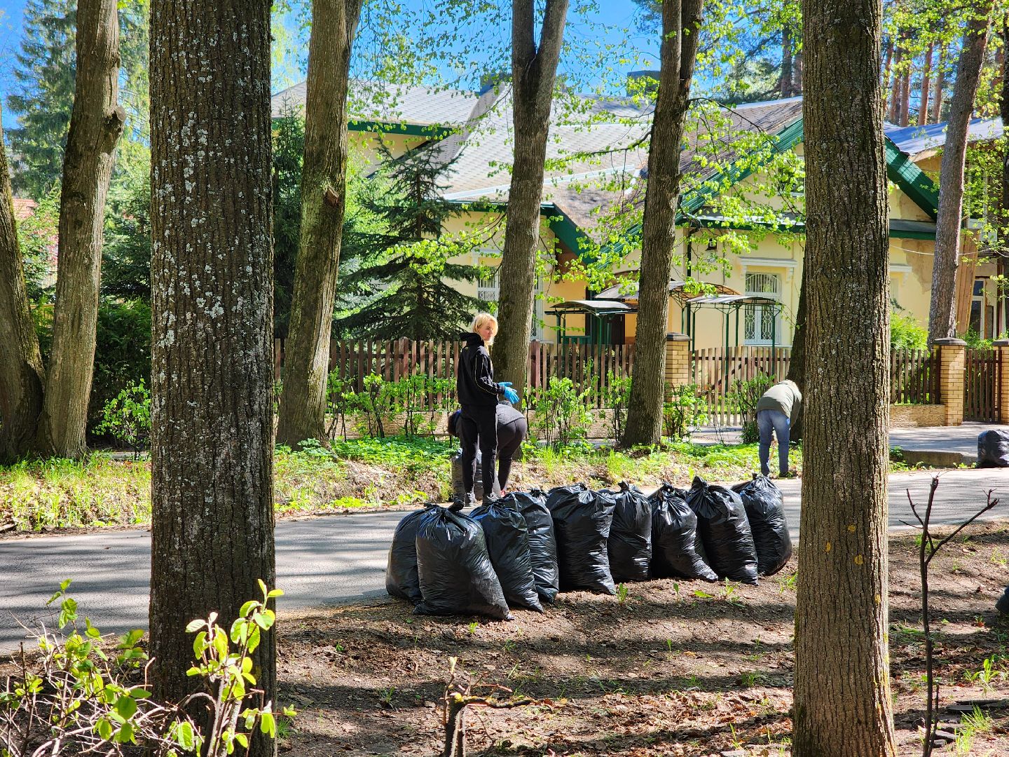 Дубна, Субботник, Уборка, Благоустройство,