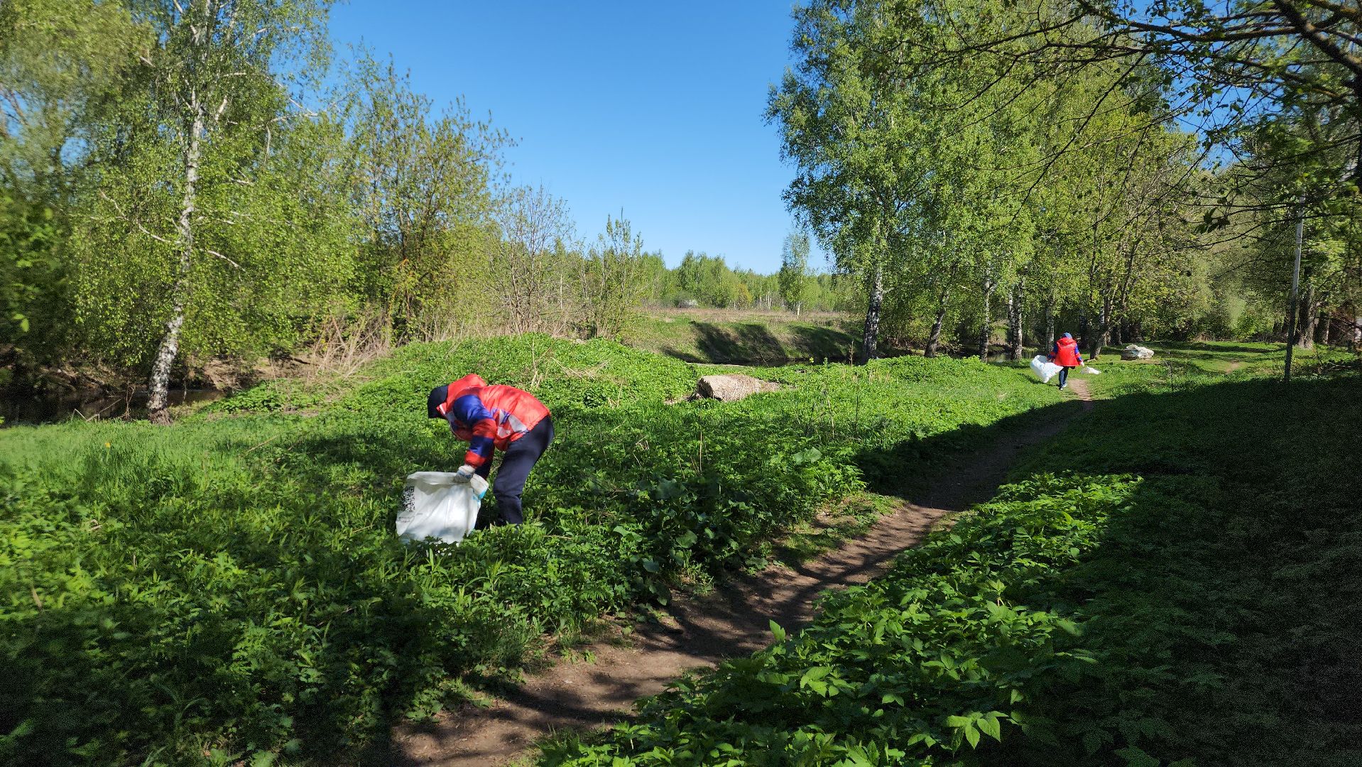 Павловский Посад, Городской округ Павловский Посад, Люди, Жители, Уборка, Акция,