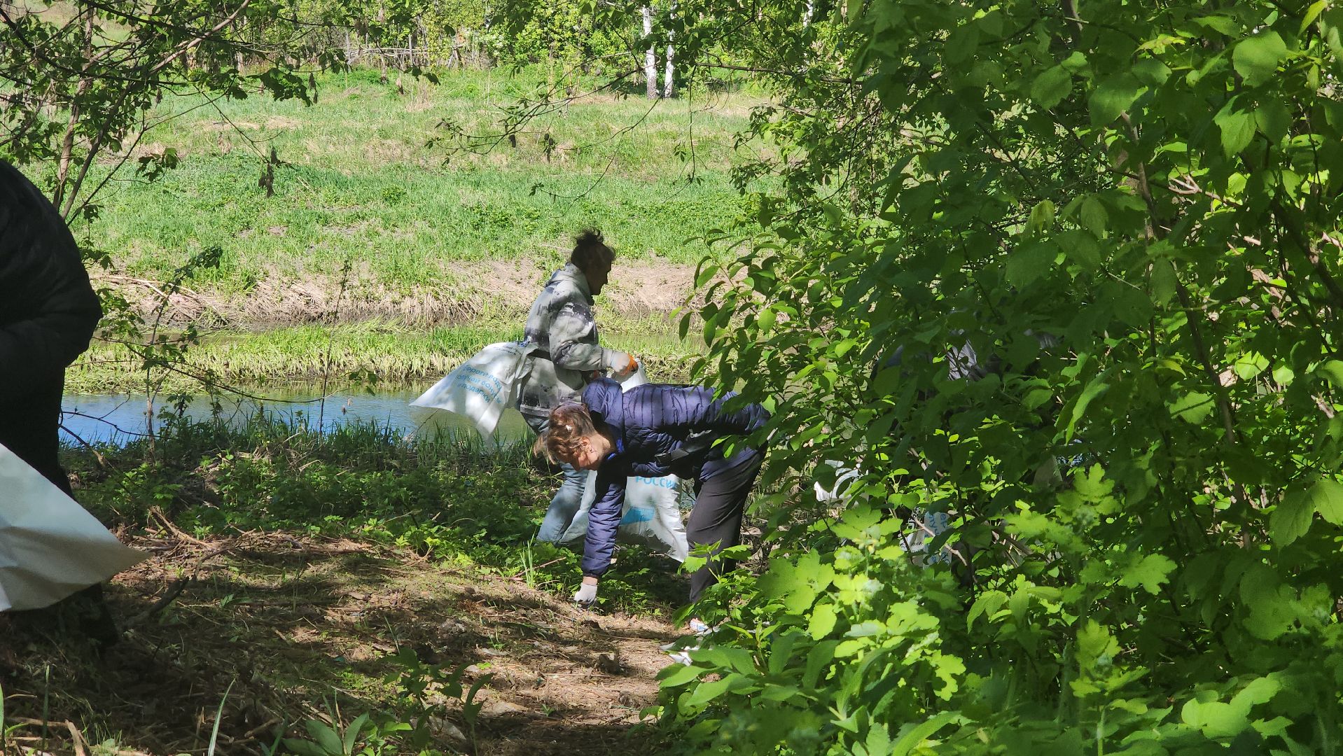 Павловский Посад, Городской округ Павловский Посад, Люди, Жители, Уборка, Акция,