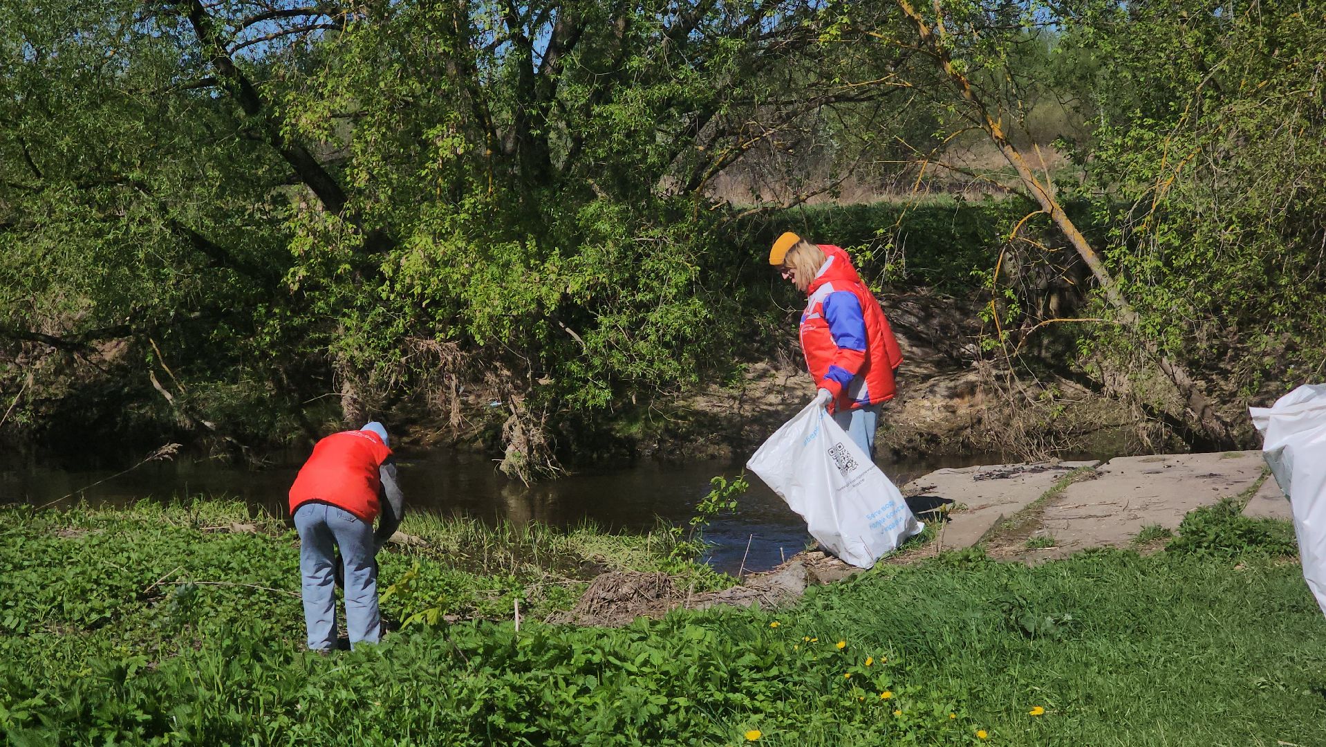 Павловский Посад, Городской округ Павловский Посад, Люди, Жители, Уборка, Акция,