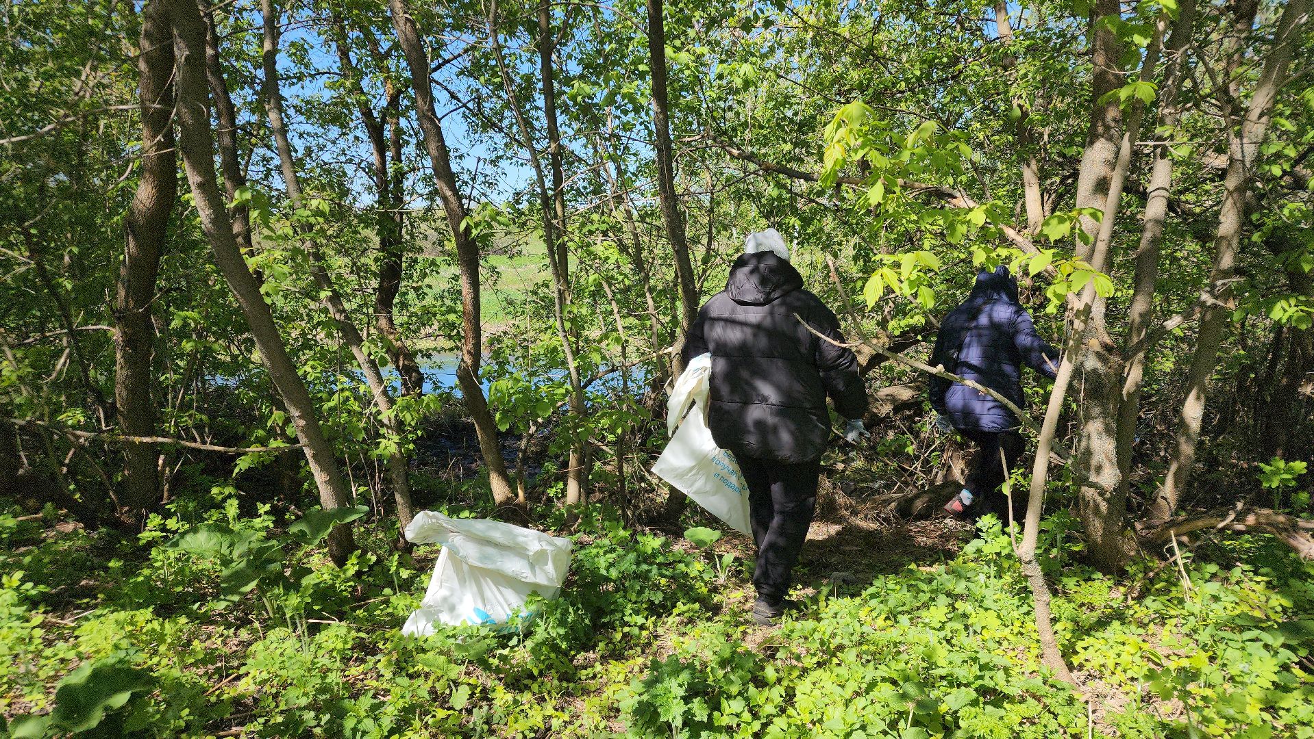 Павловский Посад, Городской округ Павловский Посад, Люди, Жители, Уборка, Акция,
