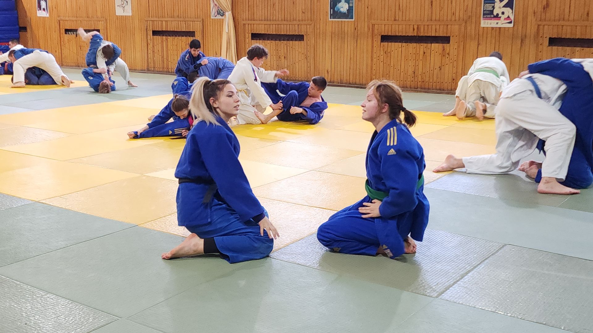 электросталь, электросталь спортивная, дзюдо, дзюдоистка, мастер спорта, школа дзюдо,