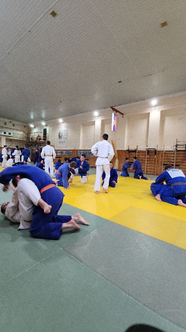 электросталь, электросталь спортивная, дзюдо, дзюдоистка, мастер спорта, школа дзюдо,