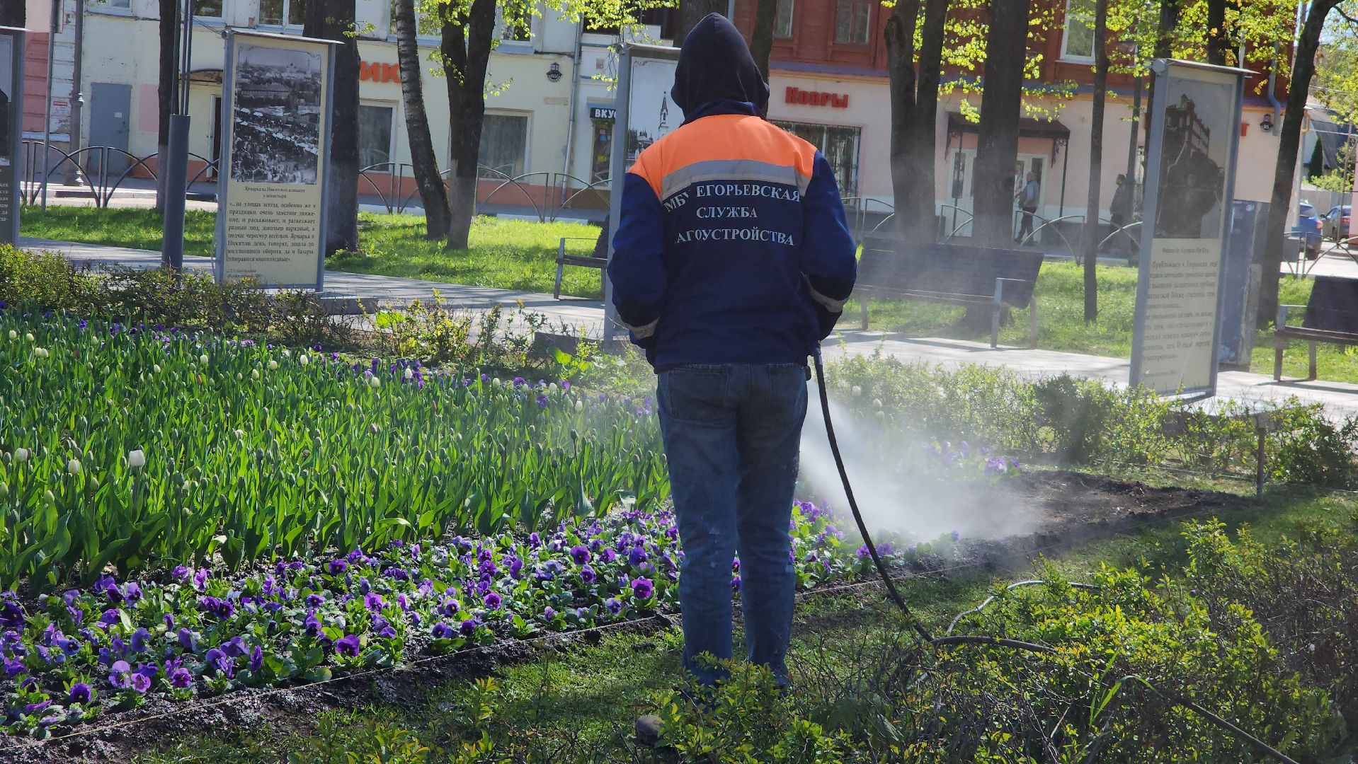 Егорьевск, Подмосковье, Московская область, Уборка, Акция, Благоустройство,