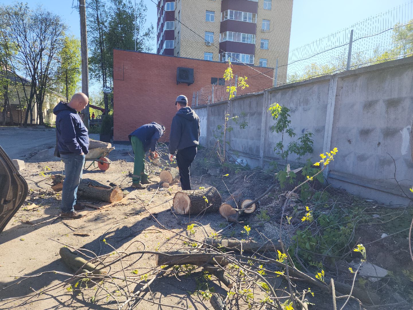 пушкино, проезд, освещение, опиловка,благоустройство,