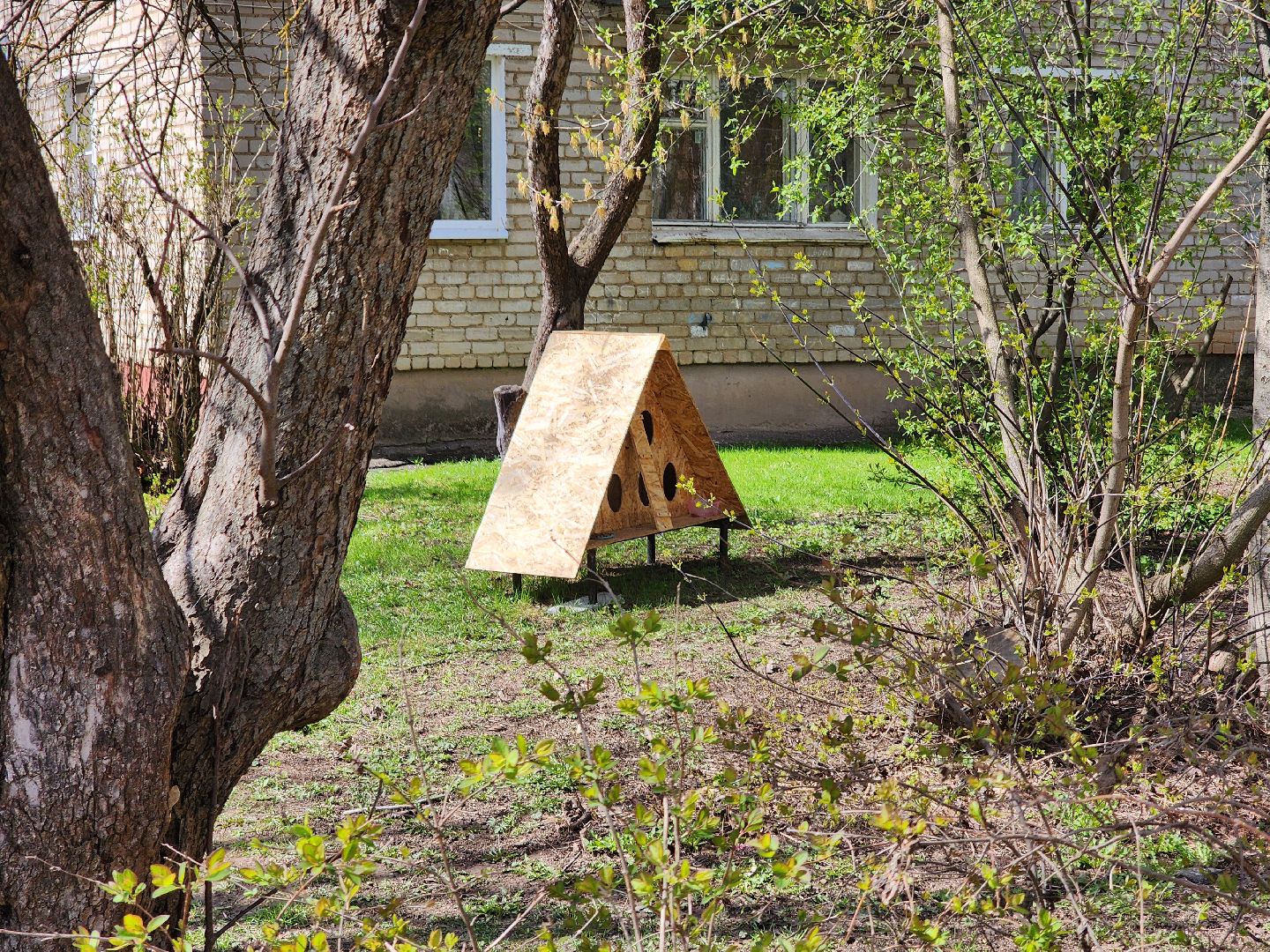 коты, кошкин дом, двор, Благоустройство, руза, рузский городской округ, московская область,