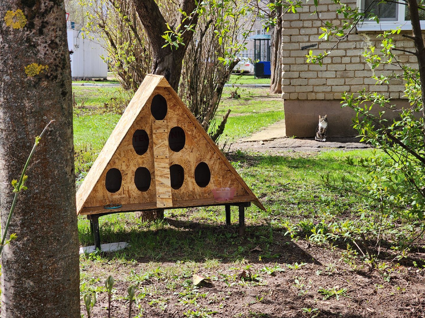 коты, кошкин дом, двор, Благоустройство, руза, рузский городской округ, московская область,