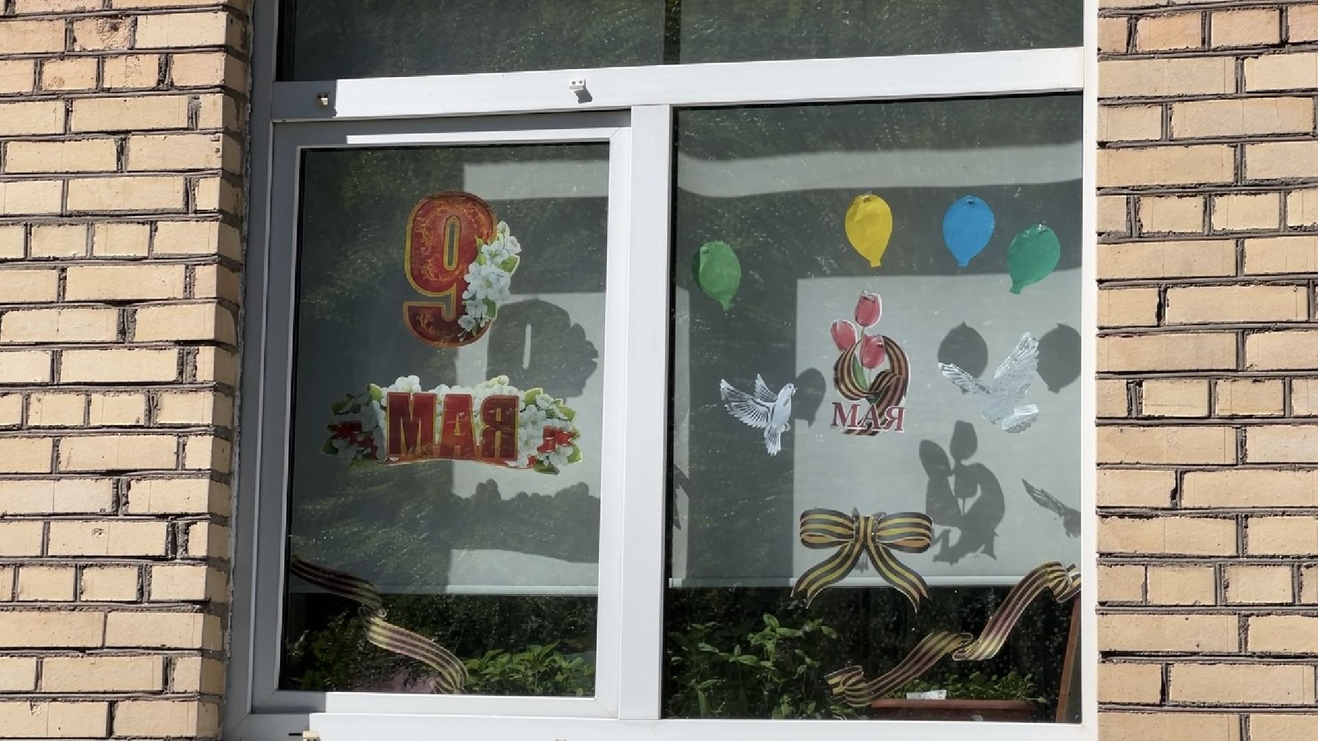химки, детский сад, окна победы, день победы,