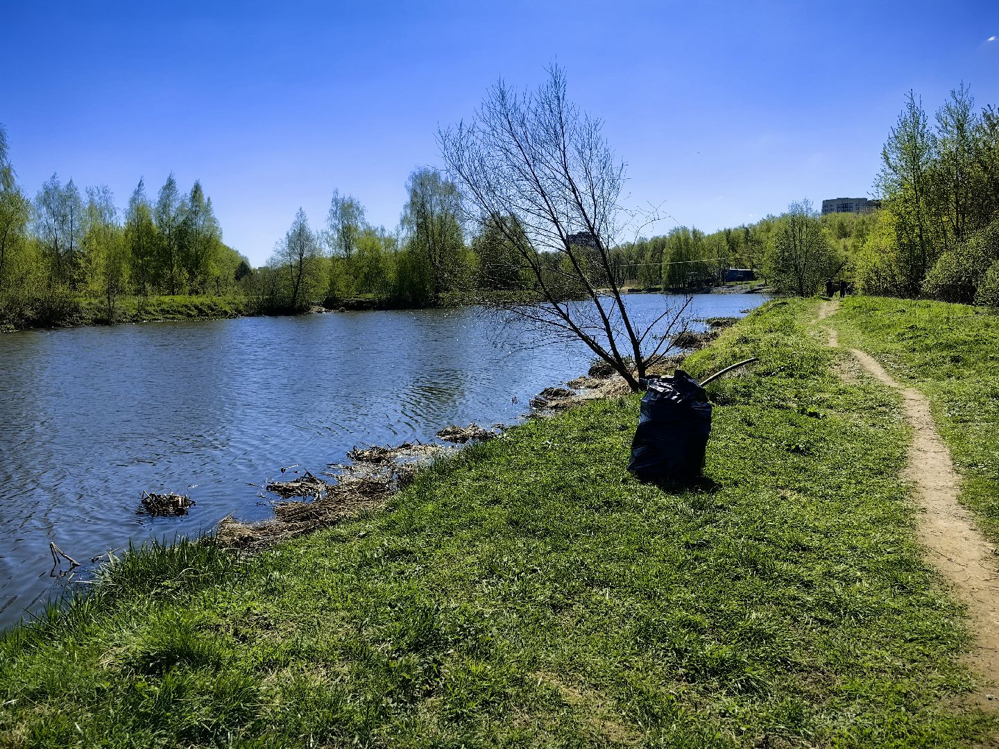 субботник, река Клязьма, уборка, пластик, отходы,