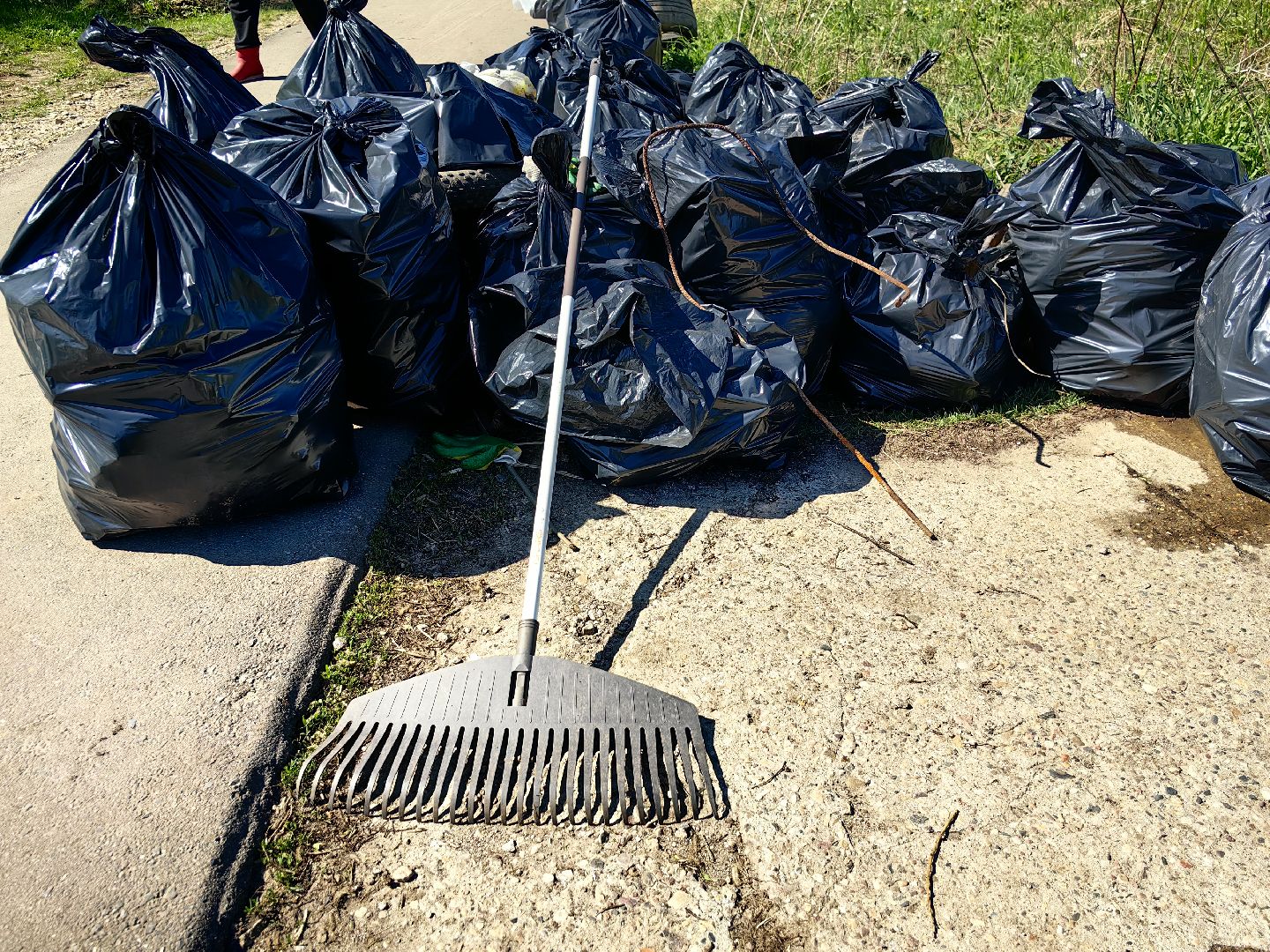 субботник, река Клязьма, уборка, пластик, отходы,