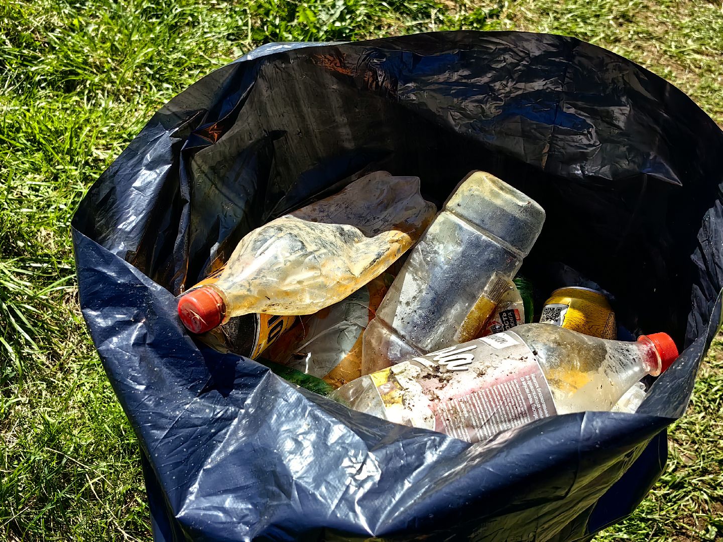 субботник, река Клязьма, уборка, пластик, отходы,