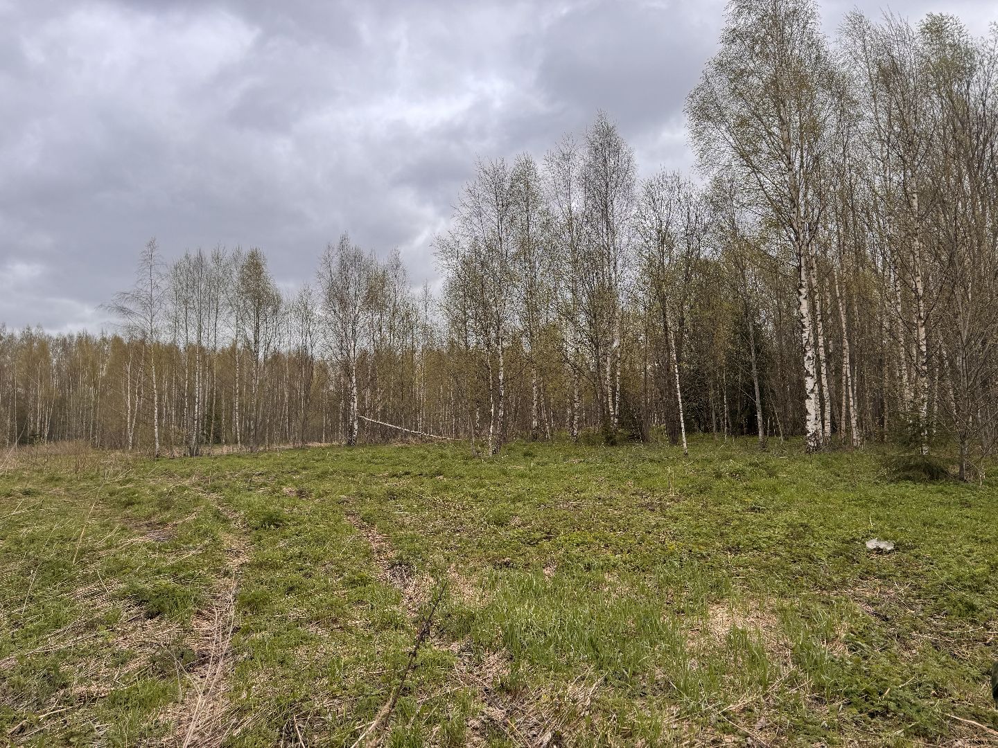 шаховская, операция смежник, пожароопасный сезон, лесничество,