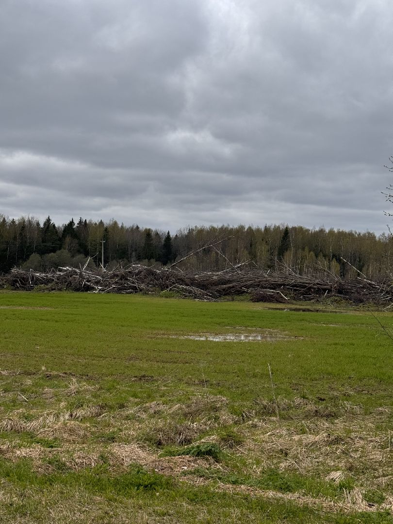 шаховская, операция смежник, пожароопасный сезон, лесничество,