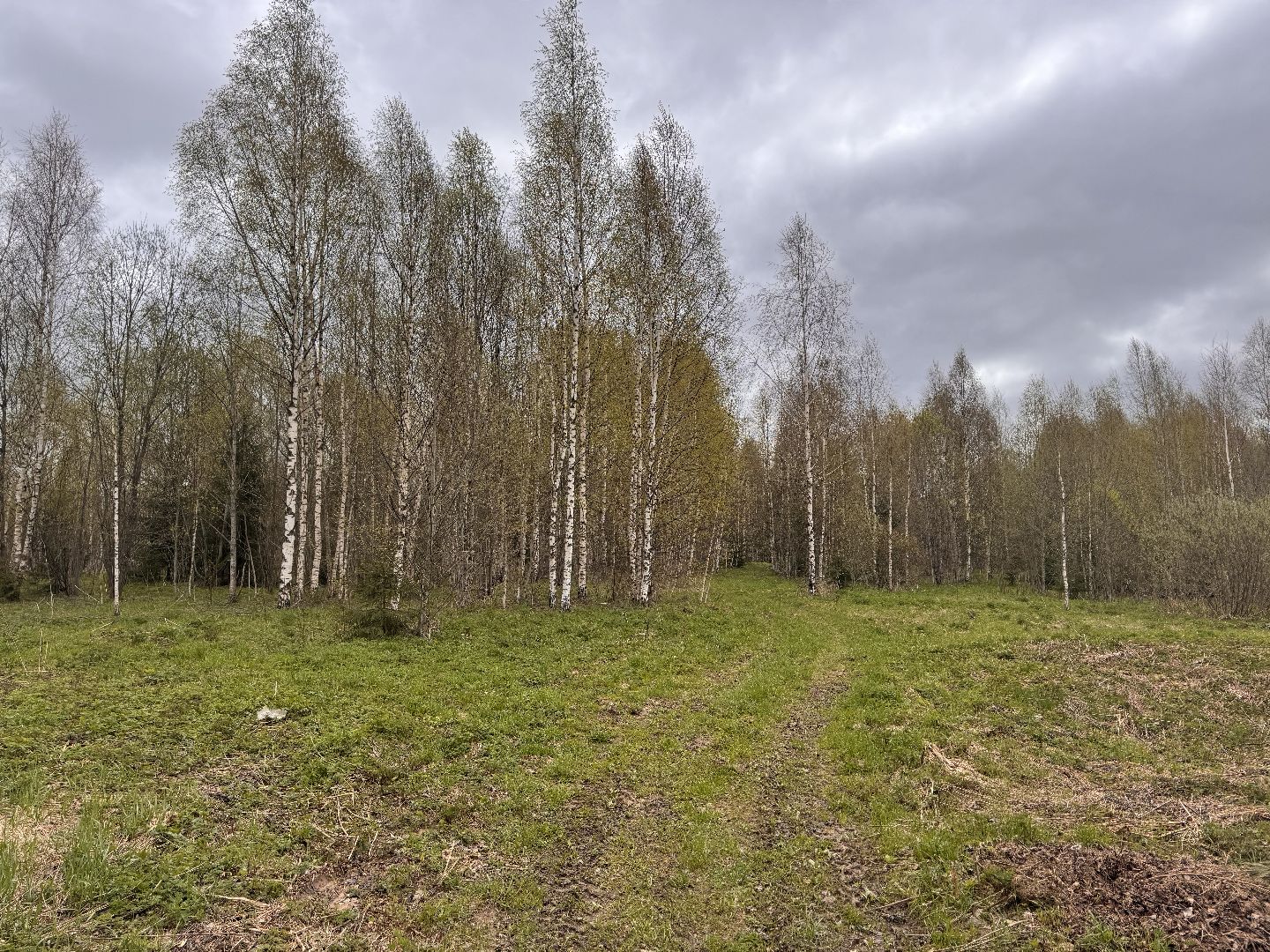 шаховская, операция смежник, пожароопасный сезон, лесничество,