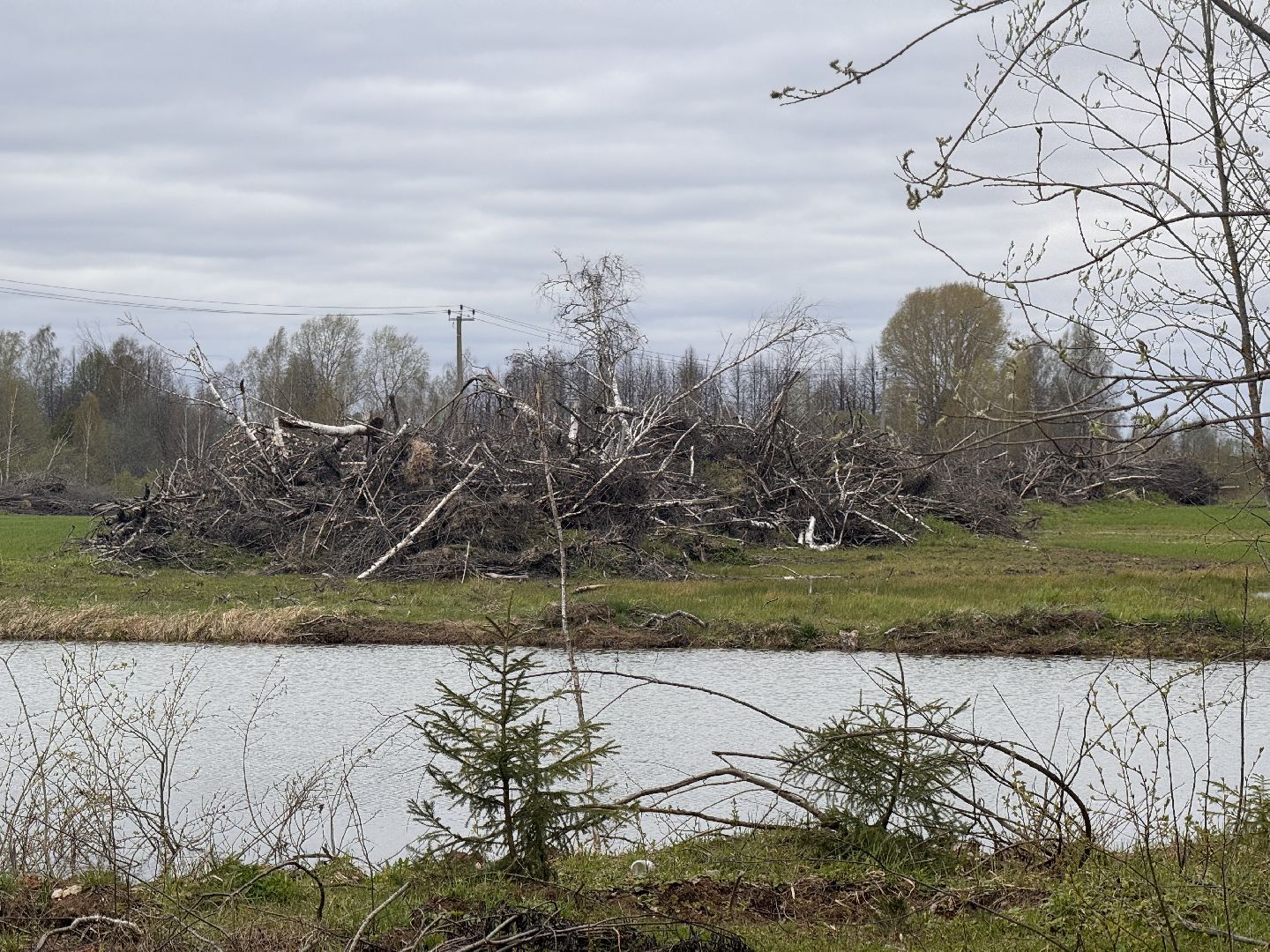 шаховская, операция смежник, пожароопасный сезон, лесничество,