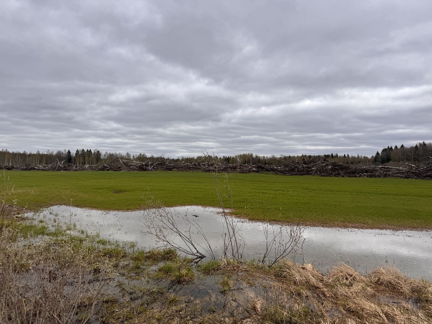 шаховская, операция смежник, пожароопасный сезон, лесничество,