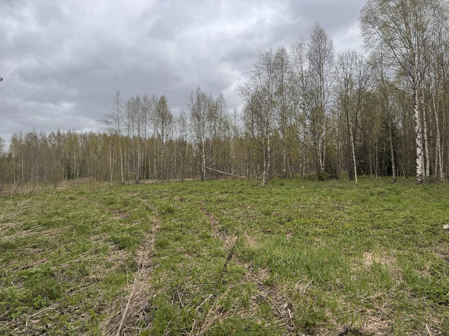 шаховская, операция смежник, пожароопасный сезон, лесничество,