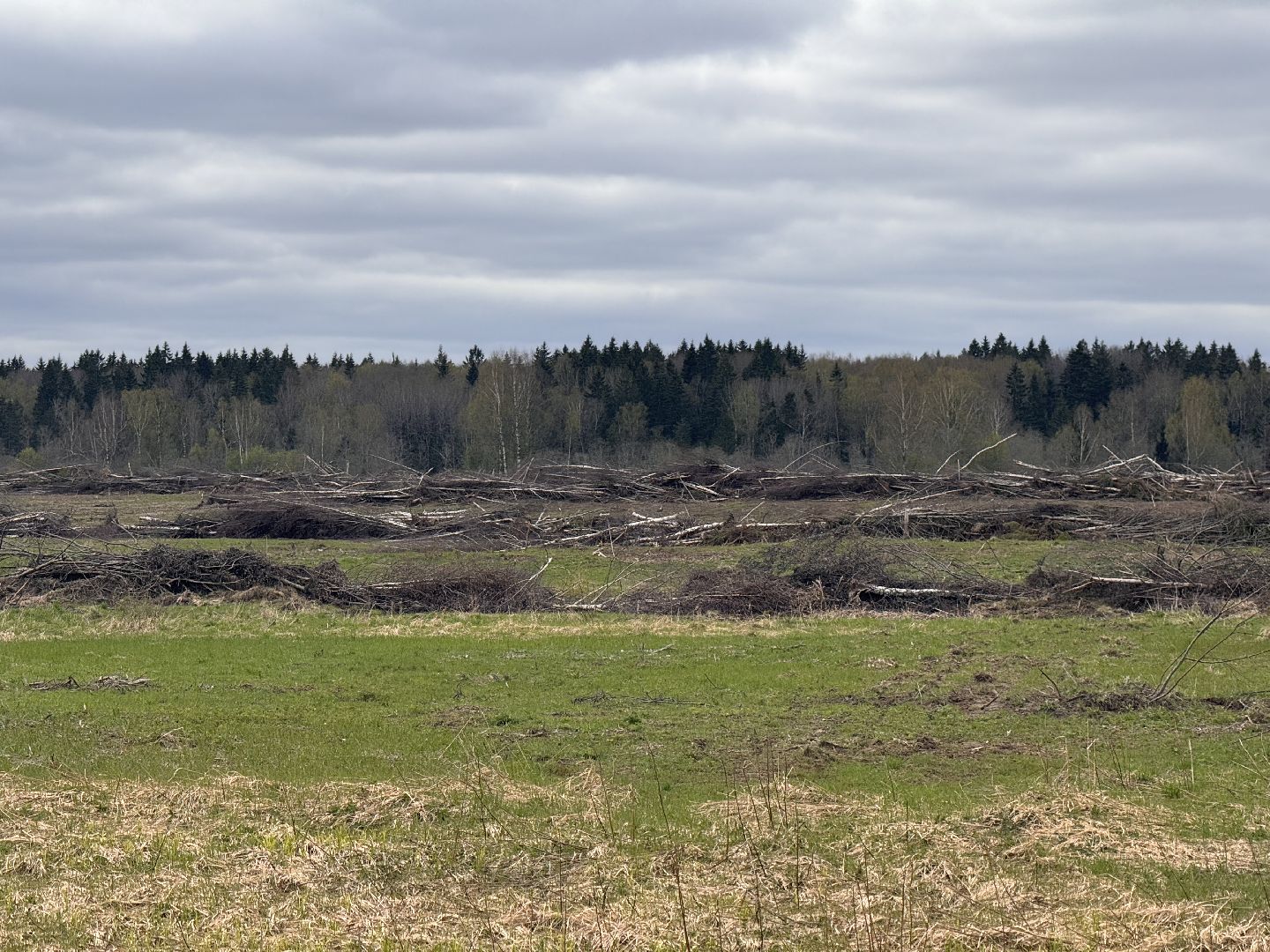 шаховская, операция смежник, пожароопасный сезон, лесничество,
