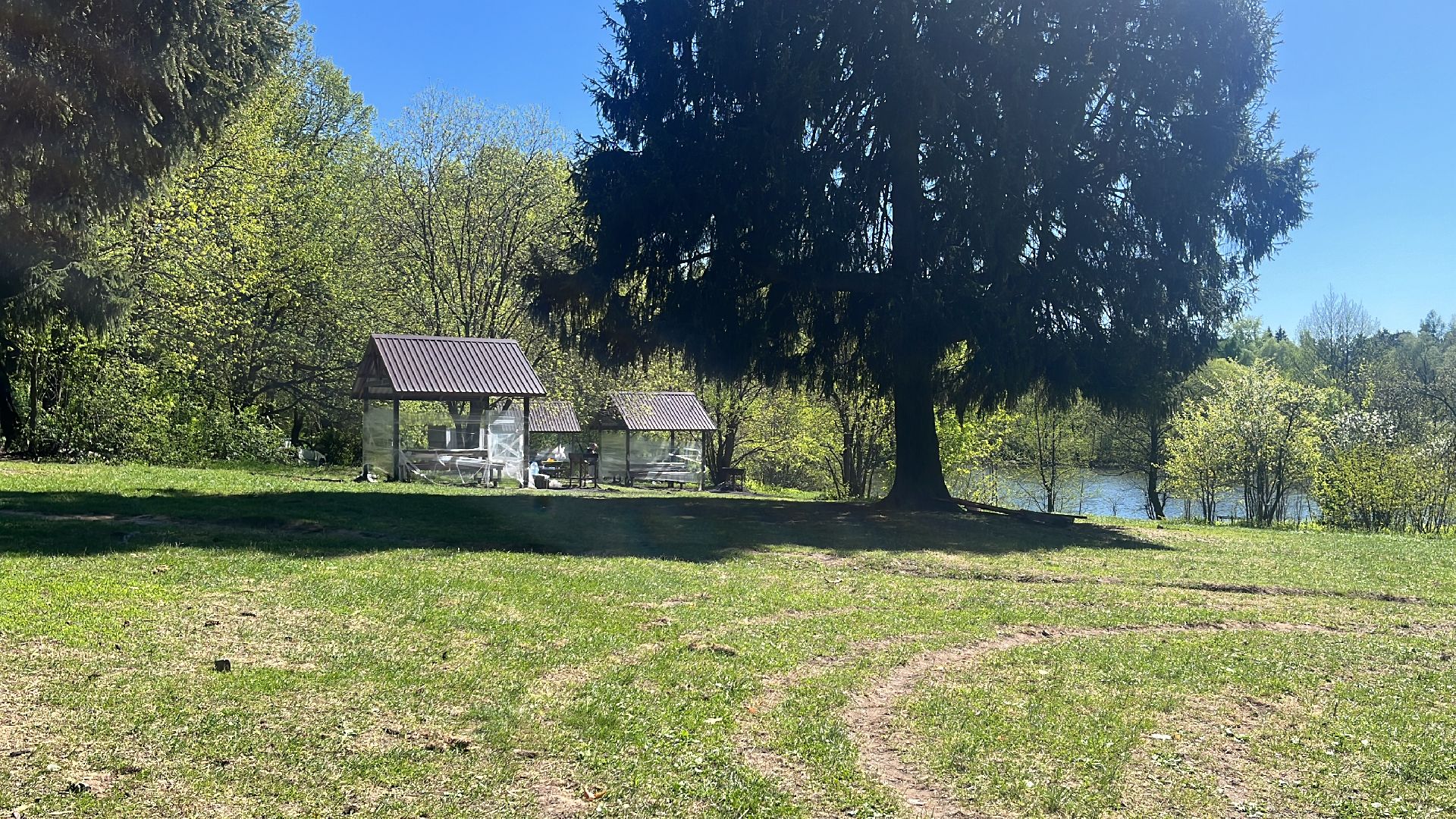 шашлык, шашлыки, шашлык у озера, мангал, озеро, пруд,