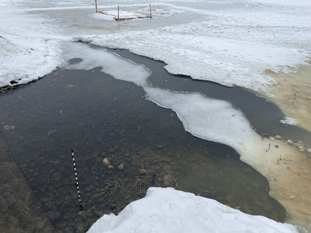 Озеро, Люберцы, очистка