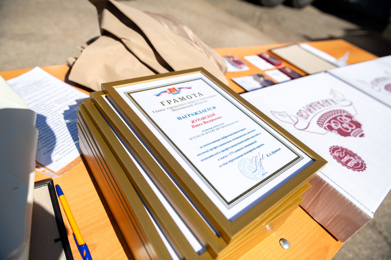 лыткарино, пожарные,