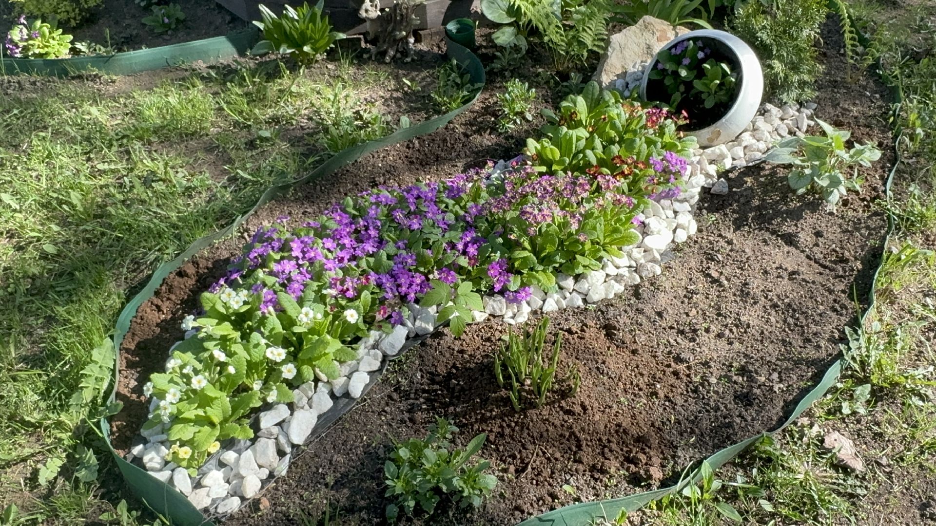 Солнечногорск, Субботник, Благоустройство, уборка территории, кадеты,