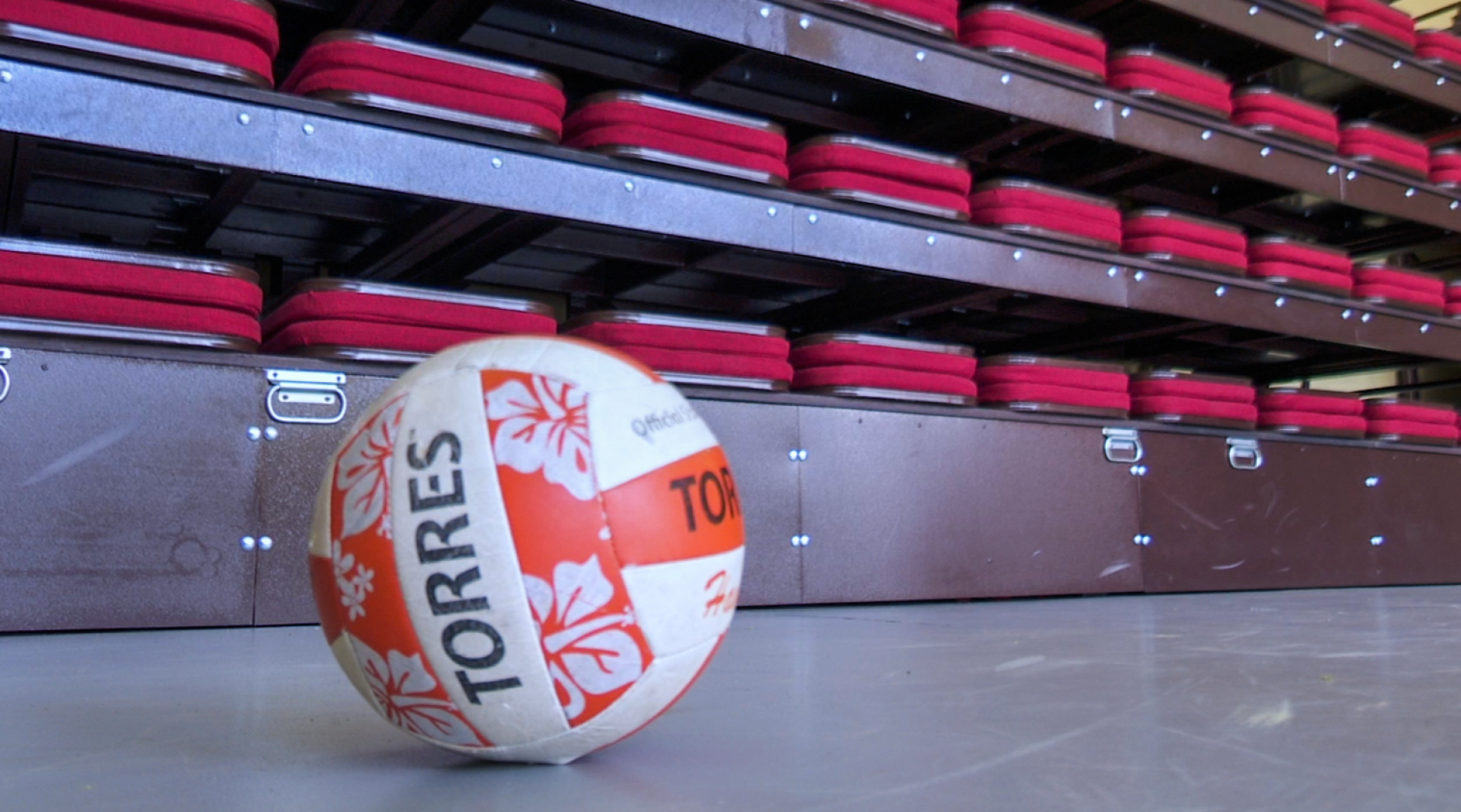 Клин, общество, детские лагери, отдых, Подмосковье, лето в подмосковье,