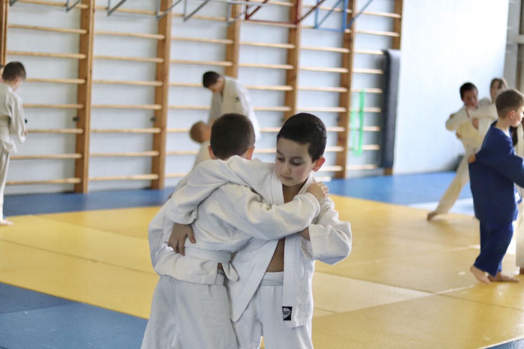 дзюдо, тренер, Лига, Фрязино