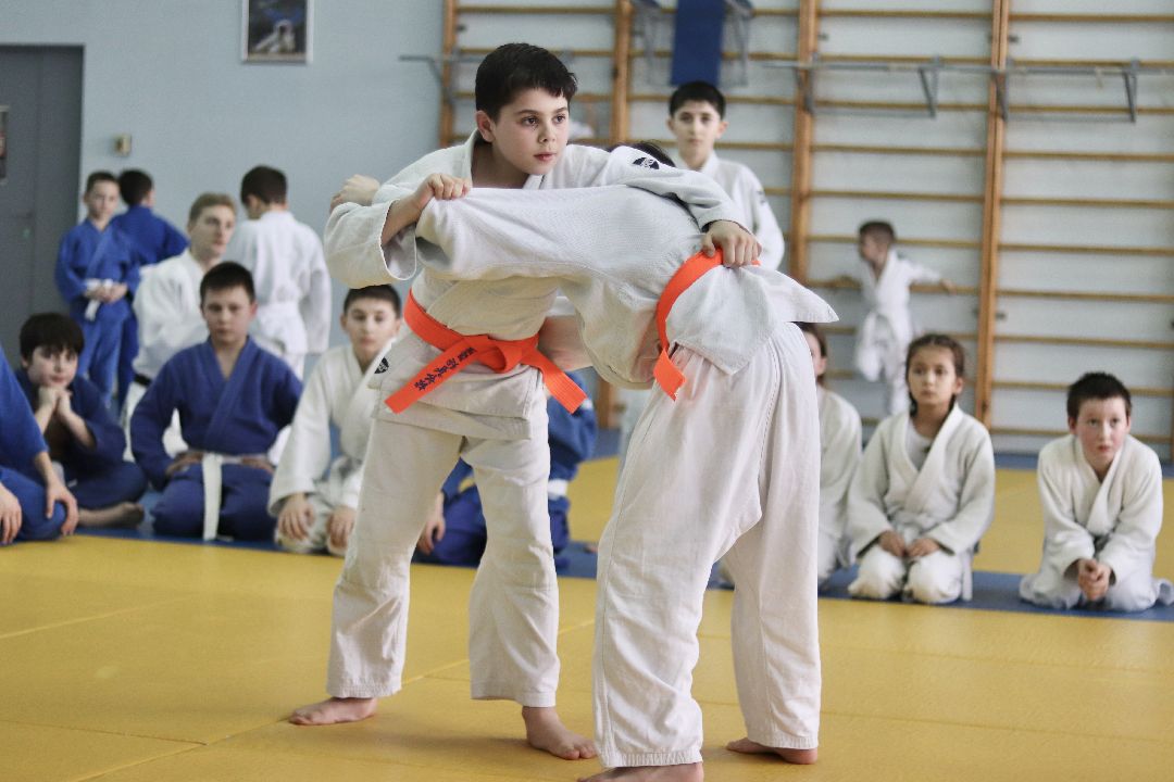 дзюдо, тренер, Лига, Фрязино