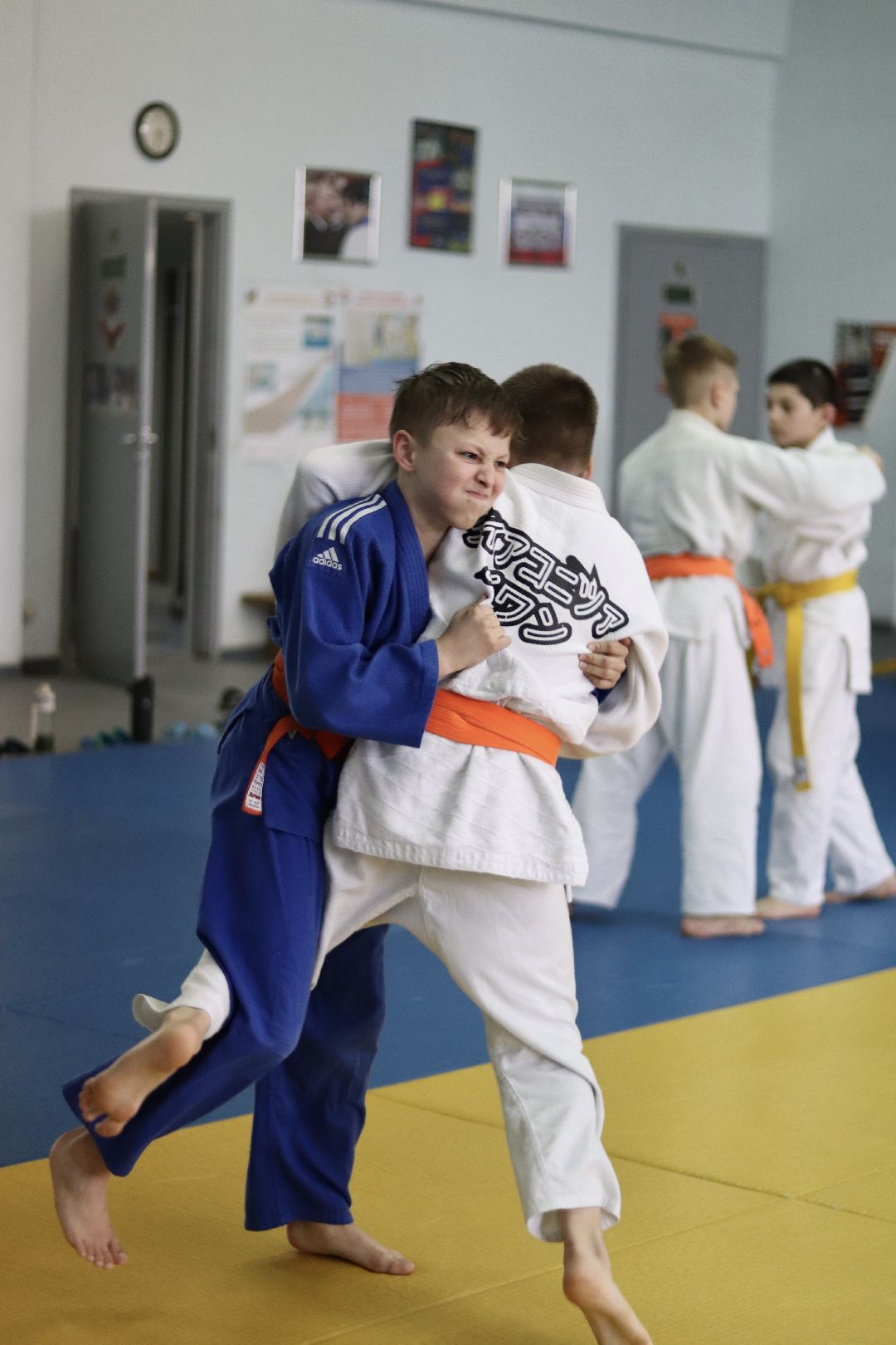 дзюдо, тренер, Лига, Фрязино