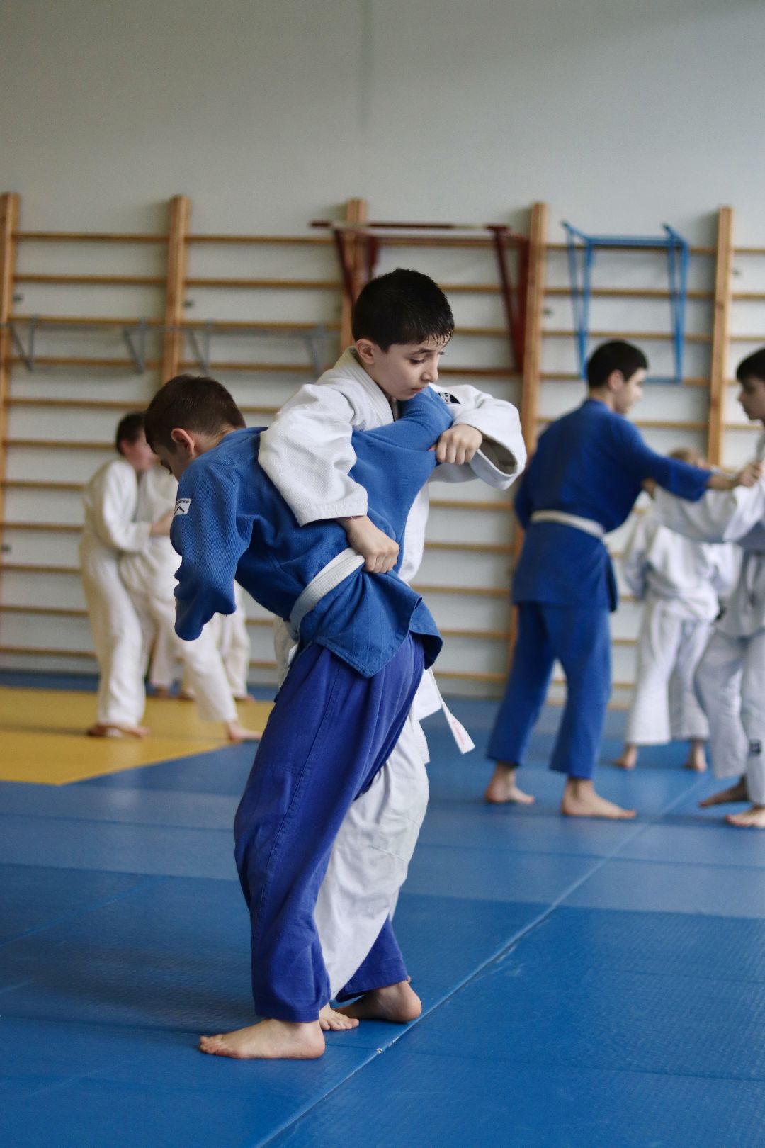 дзюдо, тренер, Лига, Фрязино