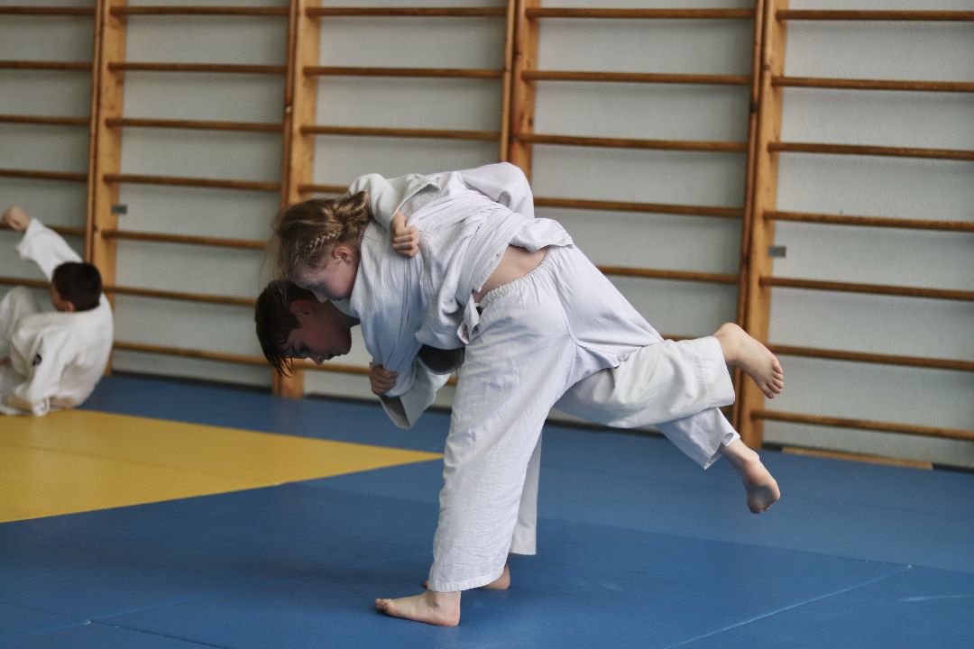 дзюдо, тренер, Лига, Фрязино