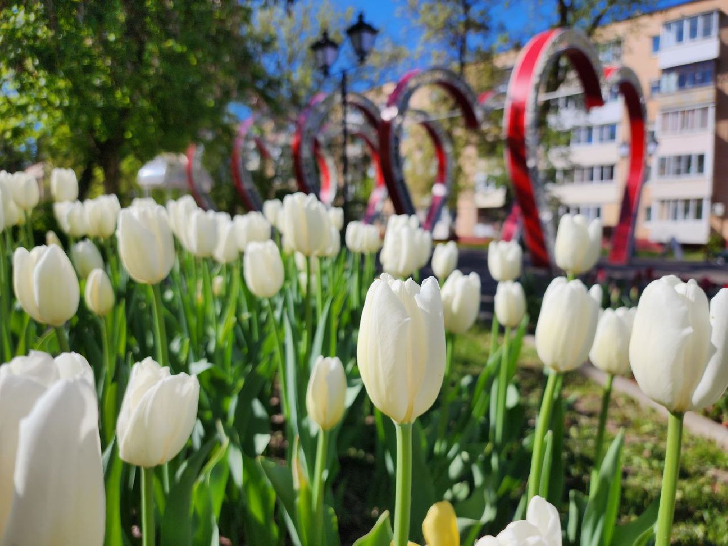 можайск, можайский городской округ, подмосковье, день победы, благоустройство, украшение округа, 9 мая,