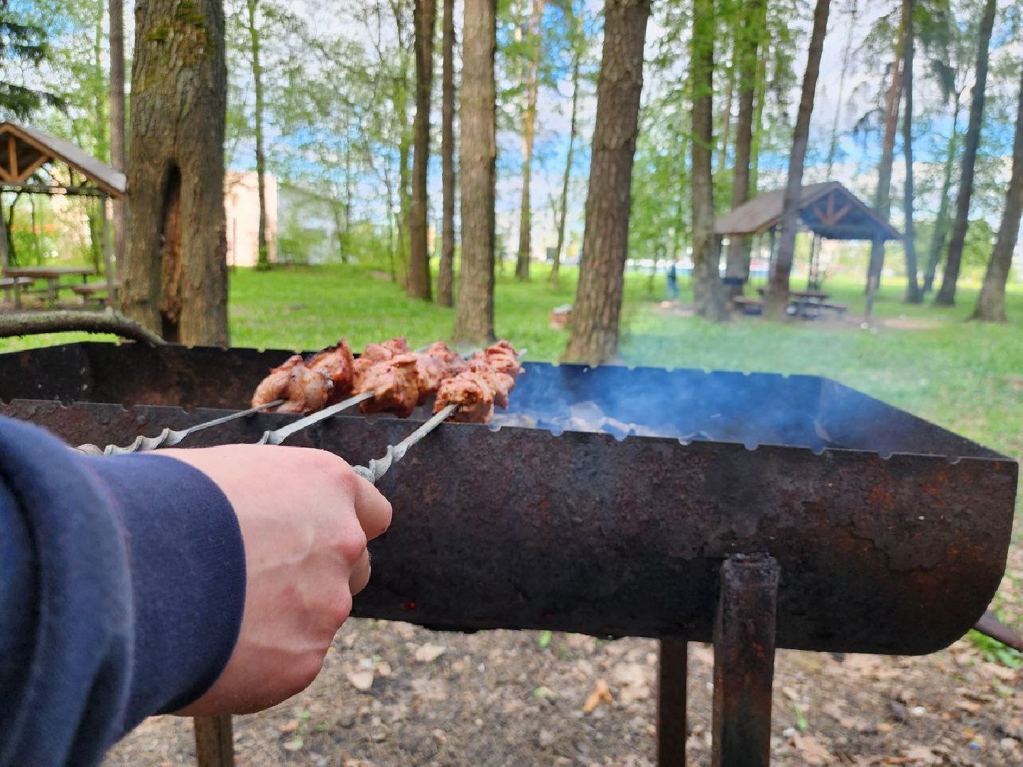 можайск, можайский городской округ, подмосковье, пикниковая зона, зона отдыха, лесной фонд, шашлык, праздники, штраф, оборудованная зона,