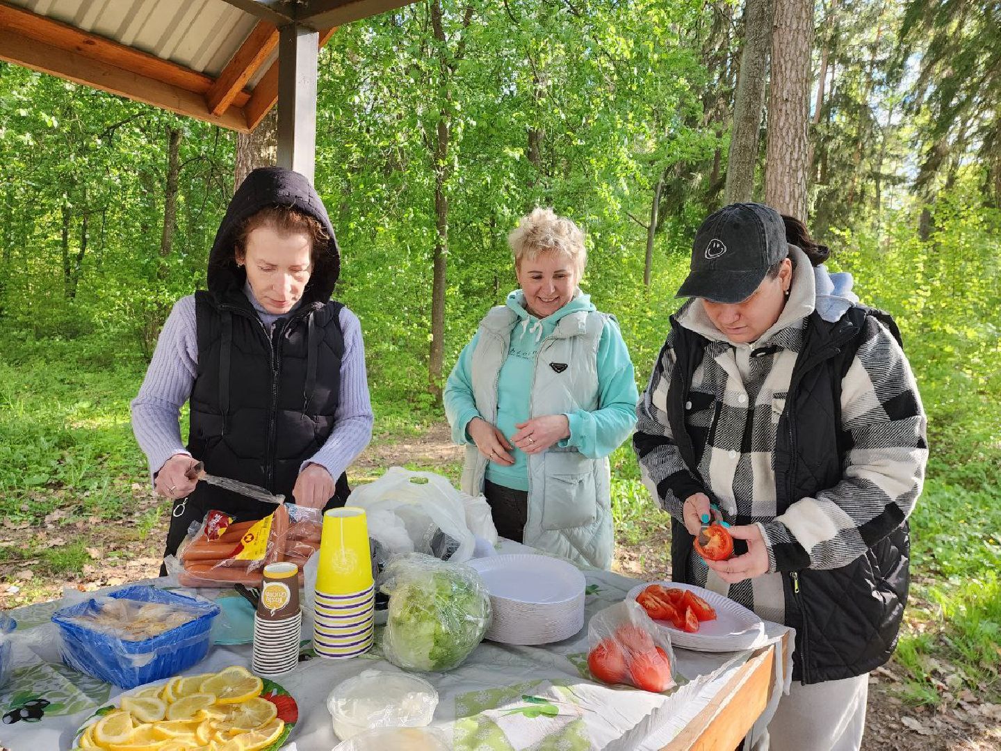 можайск, можайский городской округ, подмосковье, пикниковая зона, зона отдыха, лесной фонд, шашлык, праздники, штраф, оборудованная зона,