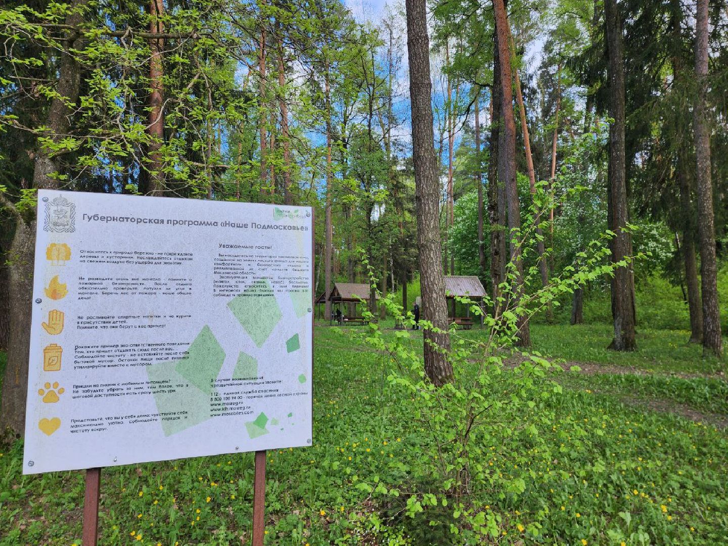 можайск, можайский городской округ, подмосковье, пикниковая зона, зона отдыха, лесной фонд, шашлык, праздники, штраф, оборудованная зона,