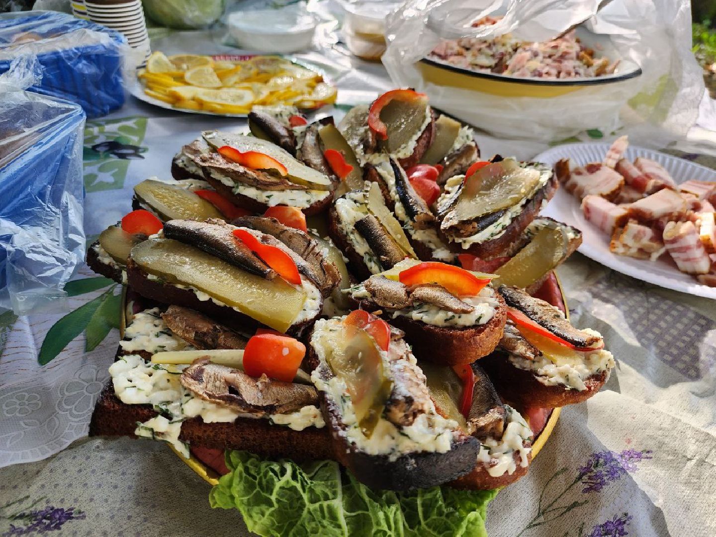 можайск, можайский городской округ, подмосковье, пикниковая зона, зона отдыха, лесной фонд, шашлык, праздники, штраф, оборудованная зона,