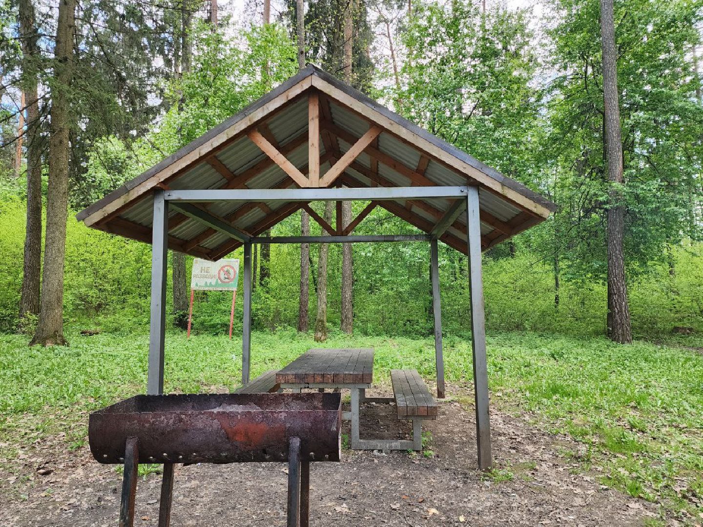 можайск, можайский городской округ, подмосковье, пикниковая зона, зона отдыха, лесной фонд, шашлык, праздники, штраф, оборудованная зона,