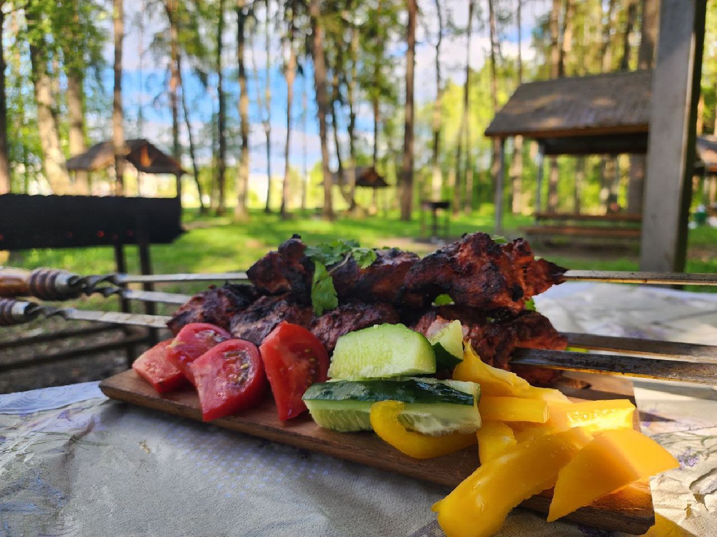 можайск, можайский городской округ, подмосковье, пикниковая зона, зона отдыха, лесной фонд, шашлык, праздники, штраф, оборудованная зона,