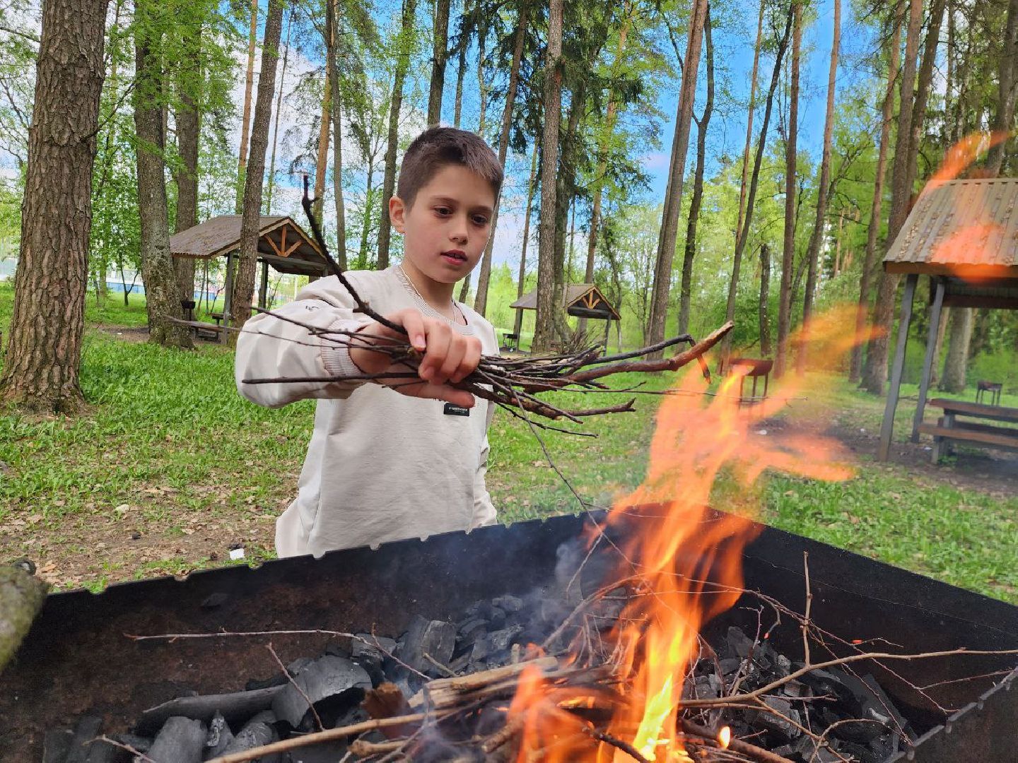 можайск, можайский городской округ, подмосковье, пикниковая зона, зона отдыха, лесной фонд, шашлык, праздники, штраф, оборудованная зона,
