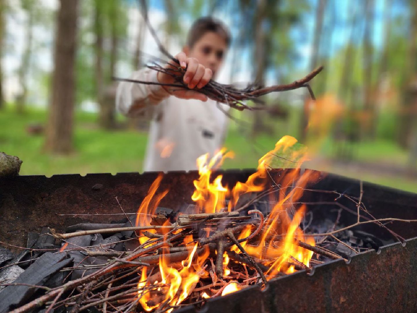 можайск, можайский городской округ, подмосковье, пикниковая зона, зона отдыха, лесной фонд, шашлык, праздники, штраф, оборудованная зона,