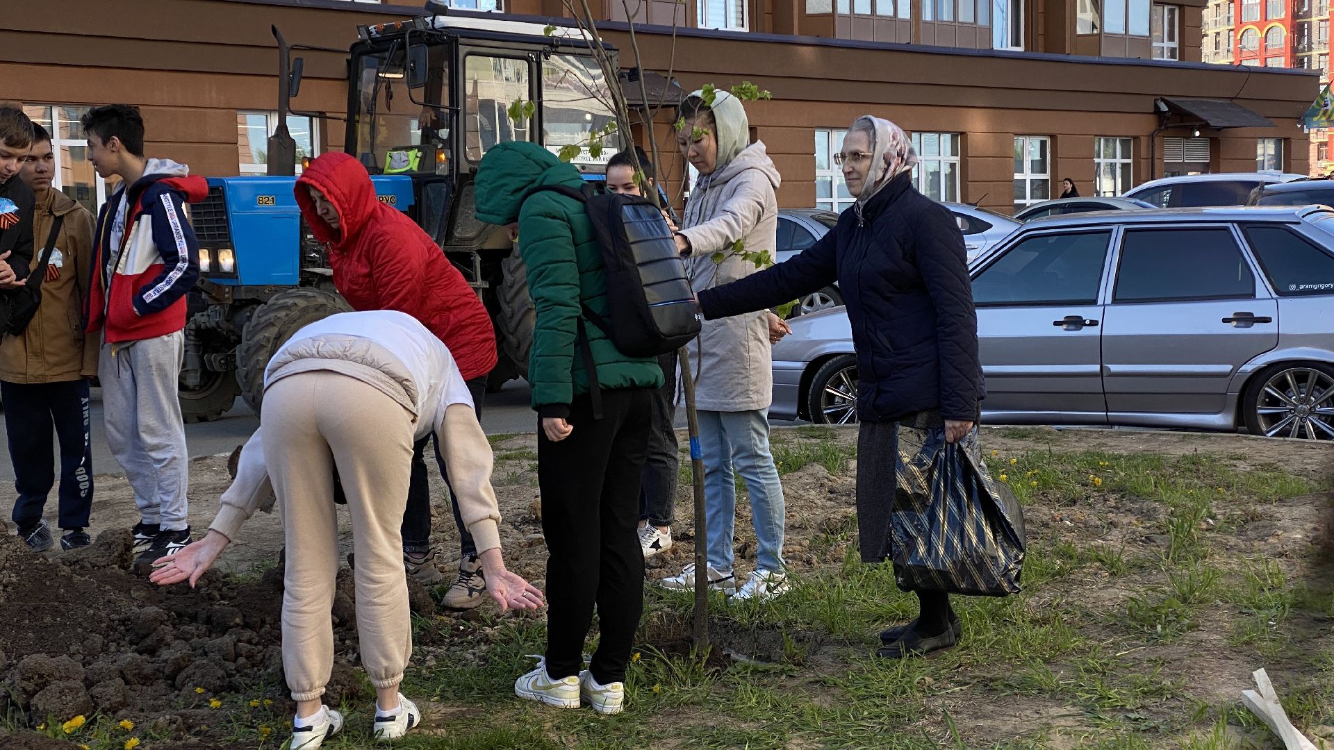 добрые дела, высадка деревьев, 40 лип, ленинский городской округ, государев дом,