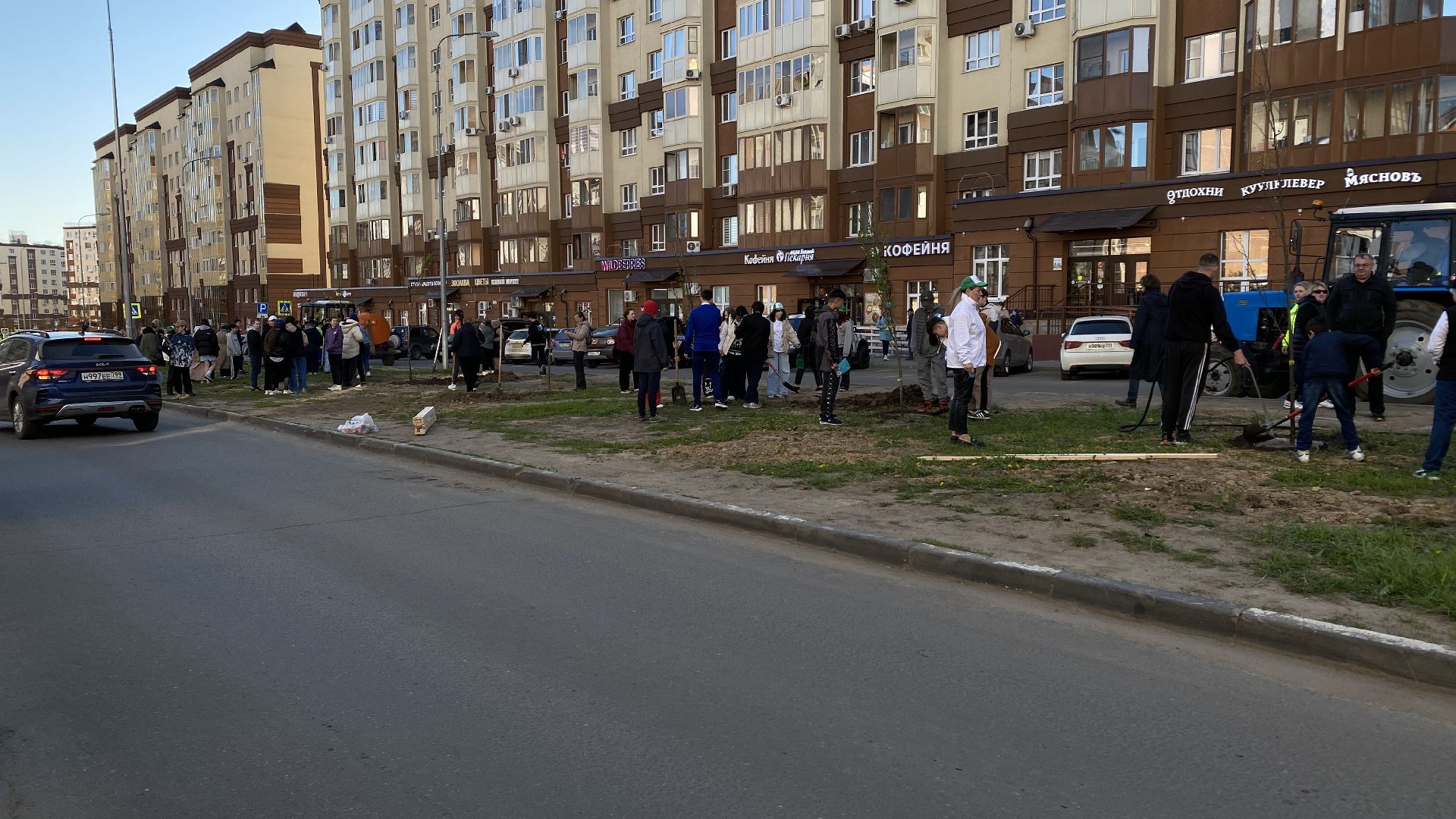 добрые дела, высадка деревьев, 40 лип, ленинский городской округ, государев дом,