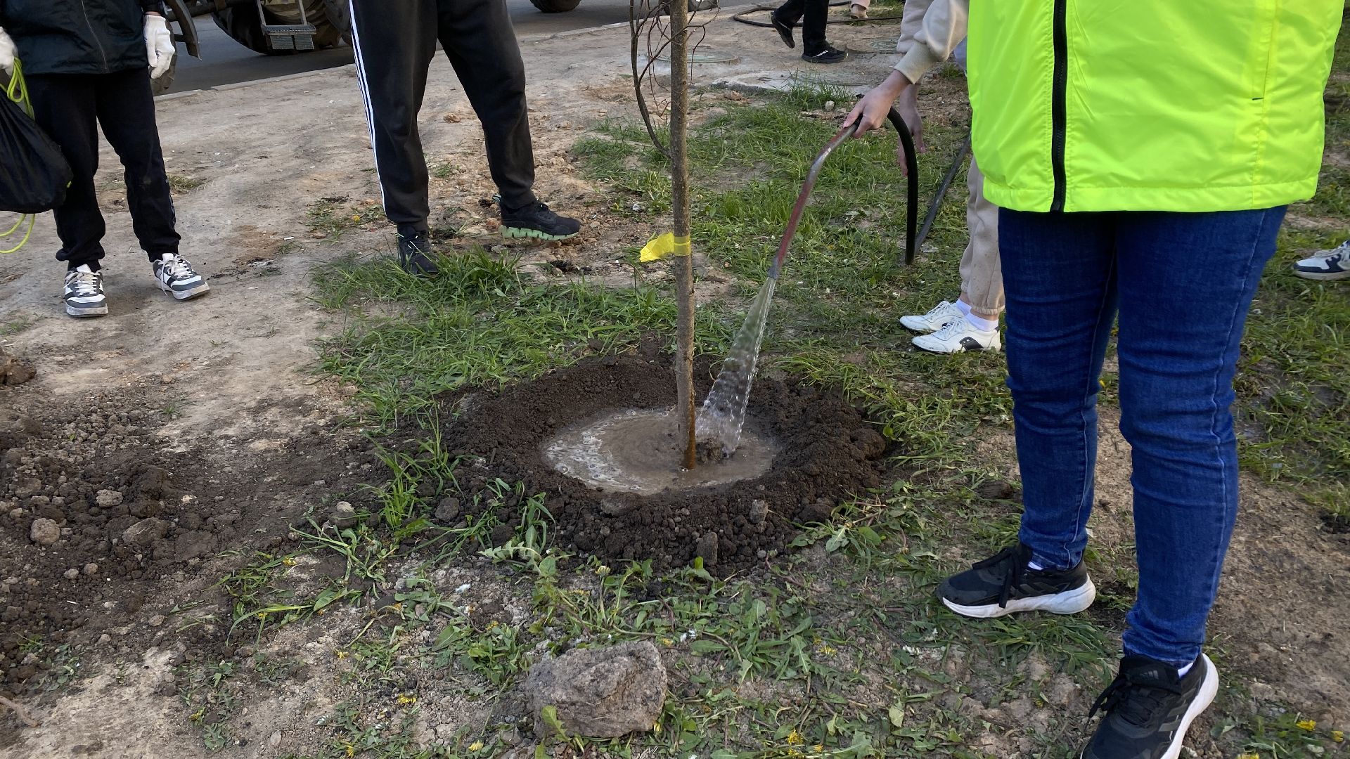 добрые дела, высадка деревьев, 40 лип, ленинский городской округ, государев дом,