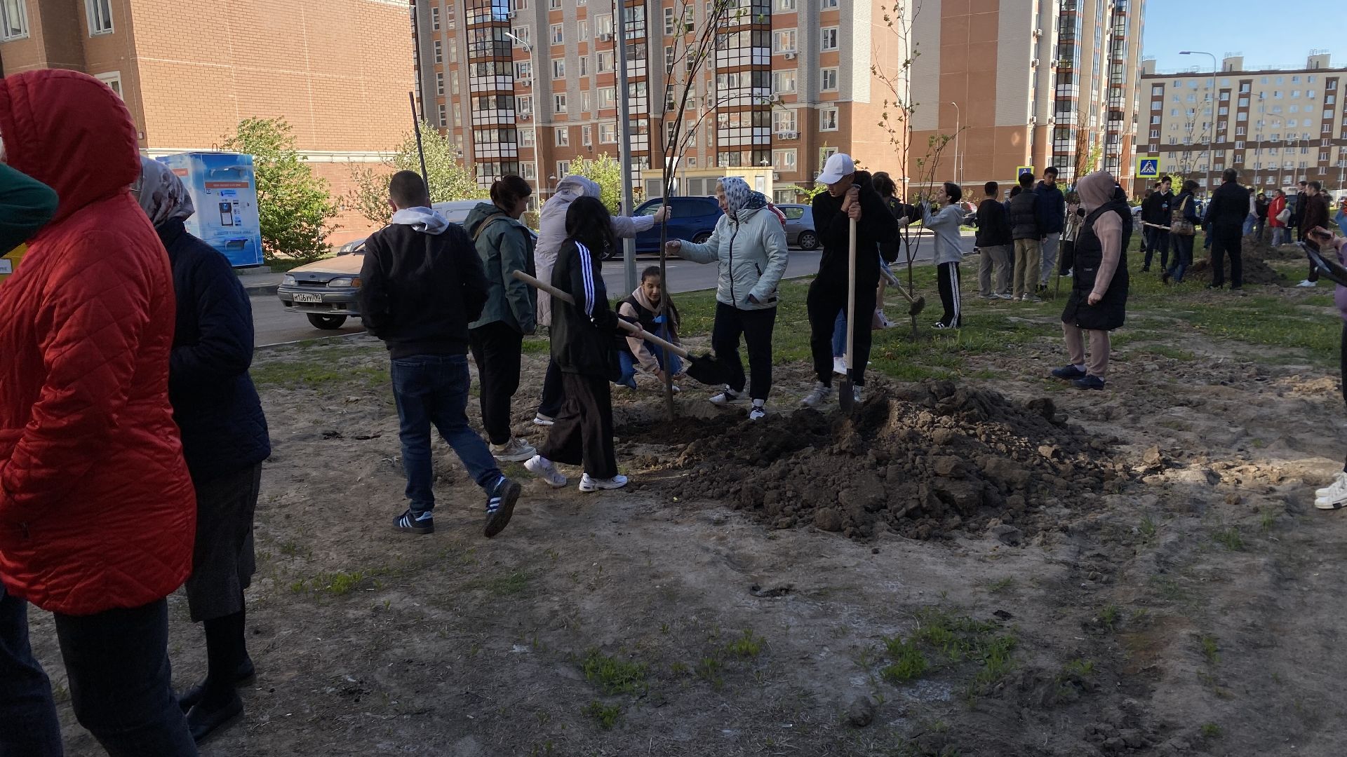 добрые дела, высадка деревьев, 40 лип, ленинский городской округ, государев дом,