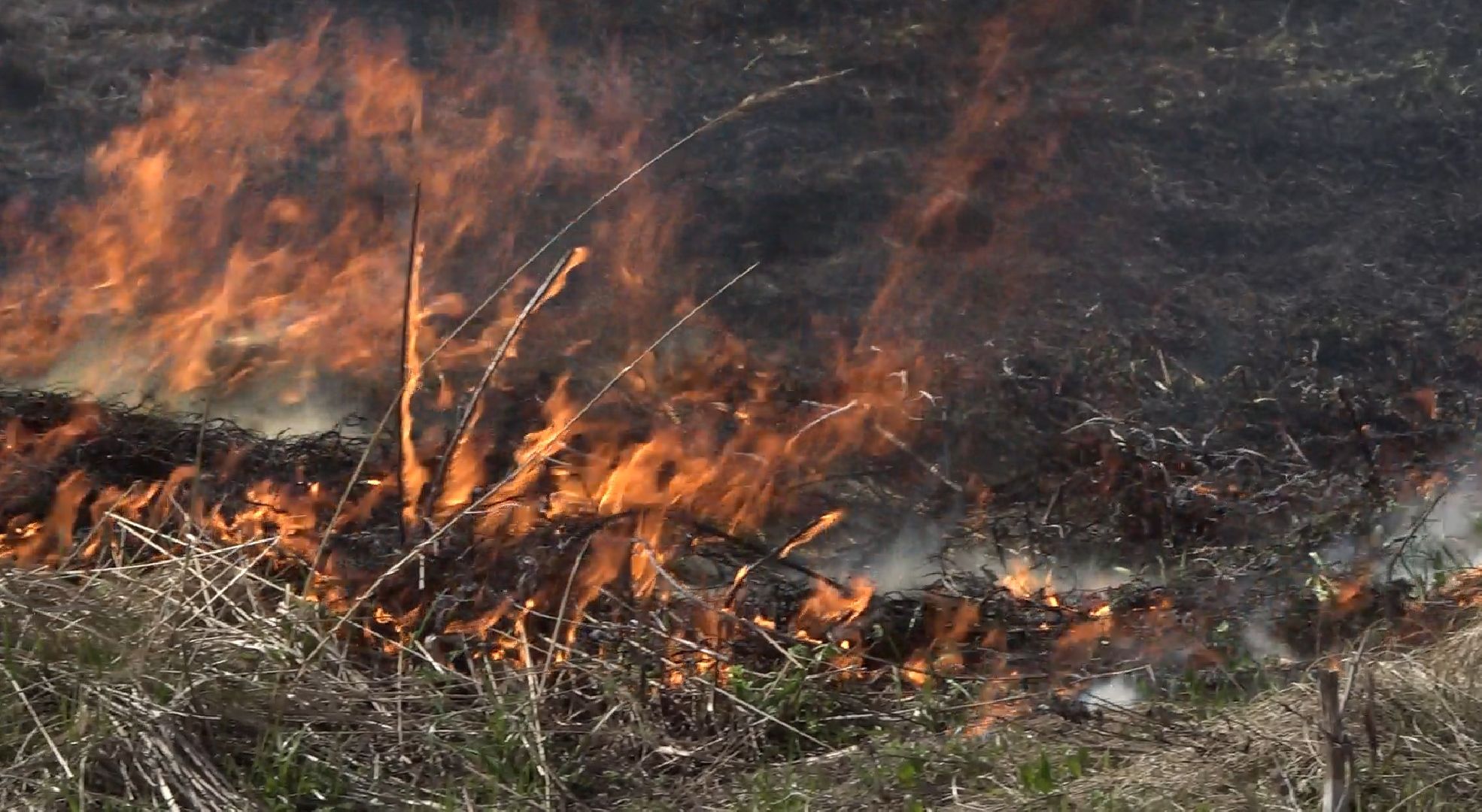 пал травы, МЧС, Домодедово, пожарная часть 58,